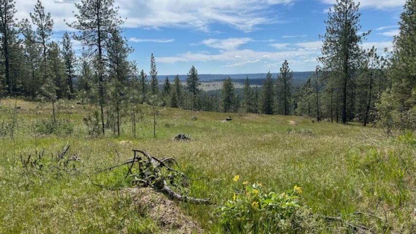 NKA Landon Ln - Photo 10