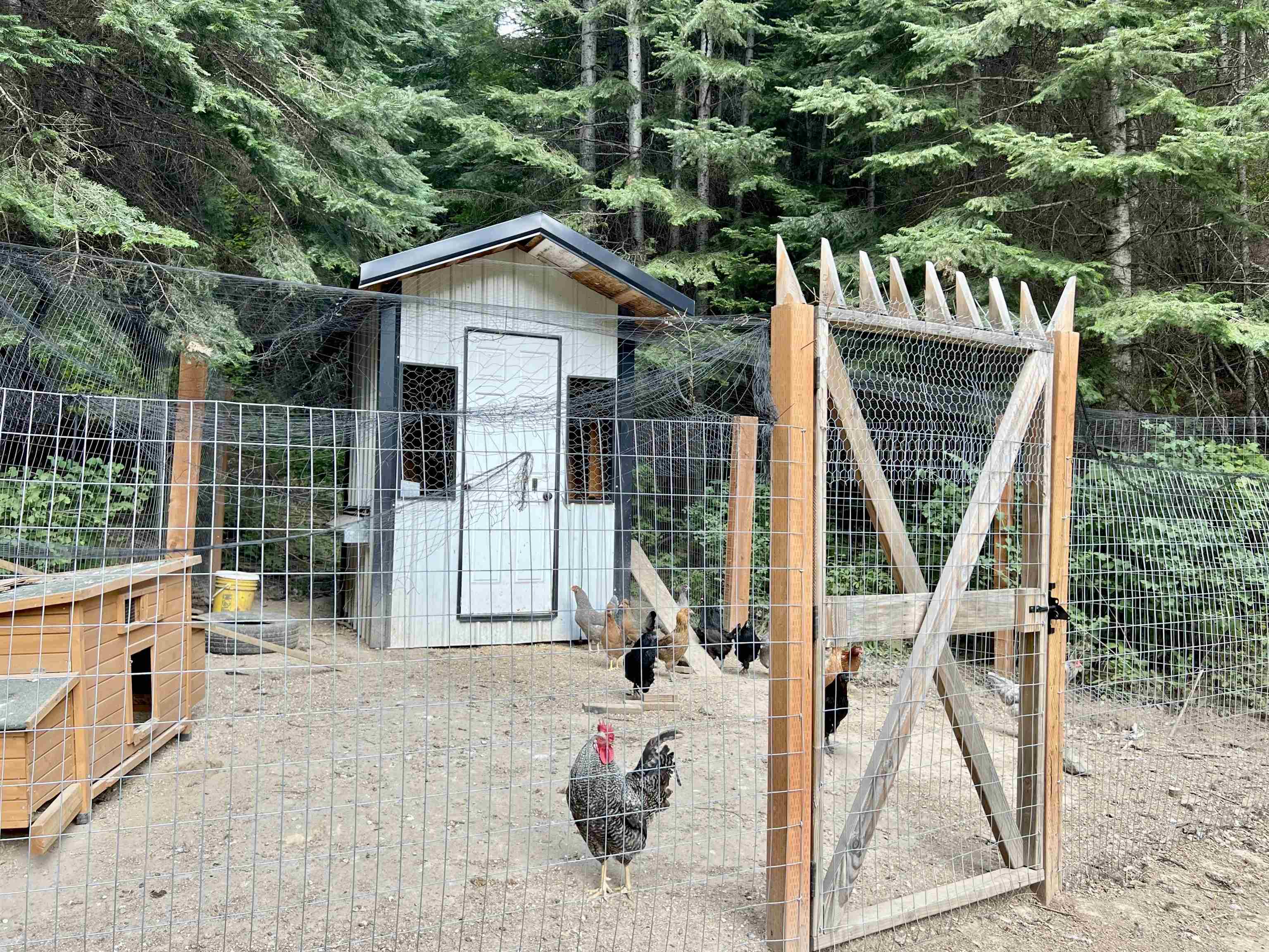 16205 E Bowman Rd - Photo 19