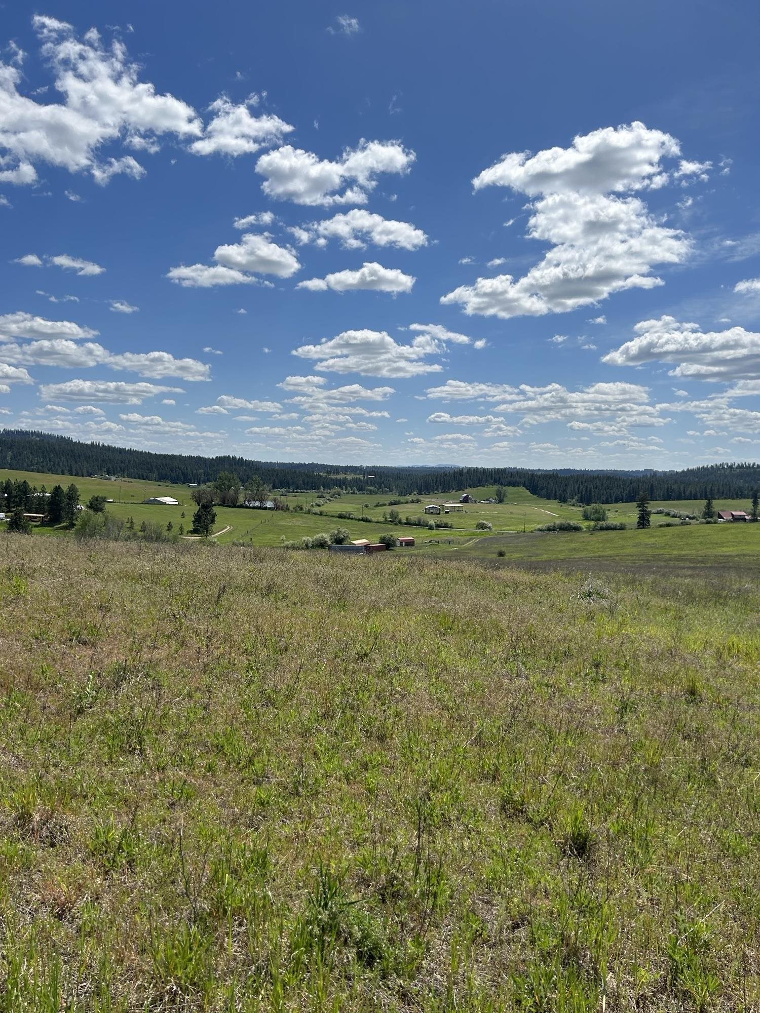 117XX E Tallman Rd - Photo 2