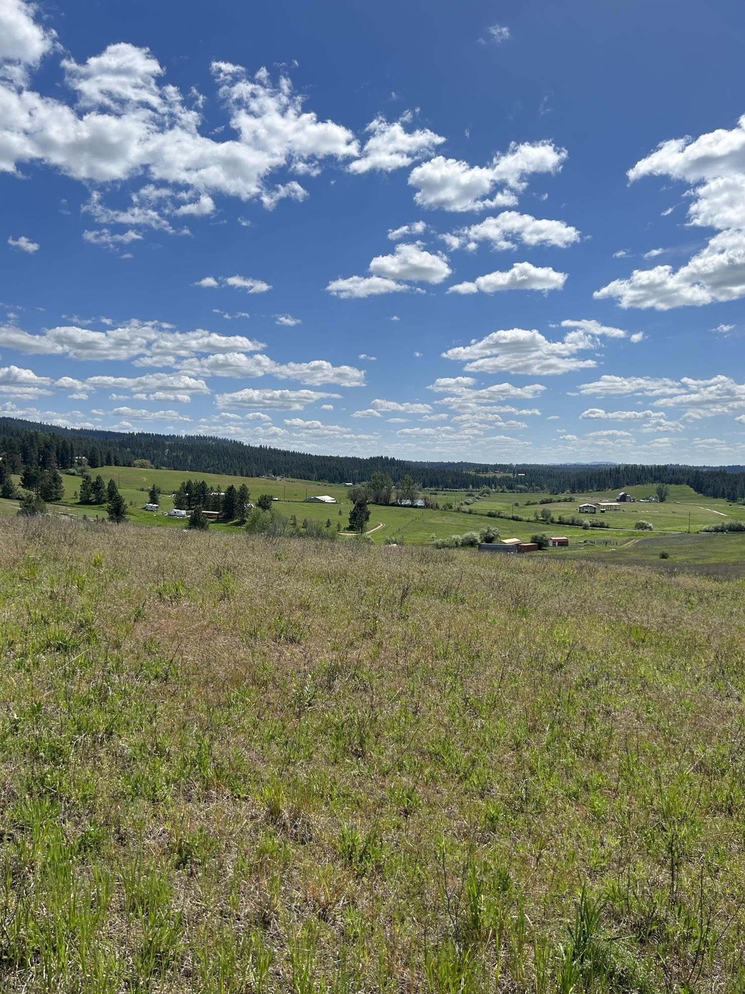117XX E Tallman Rd - Photo 11