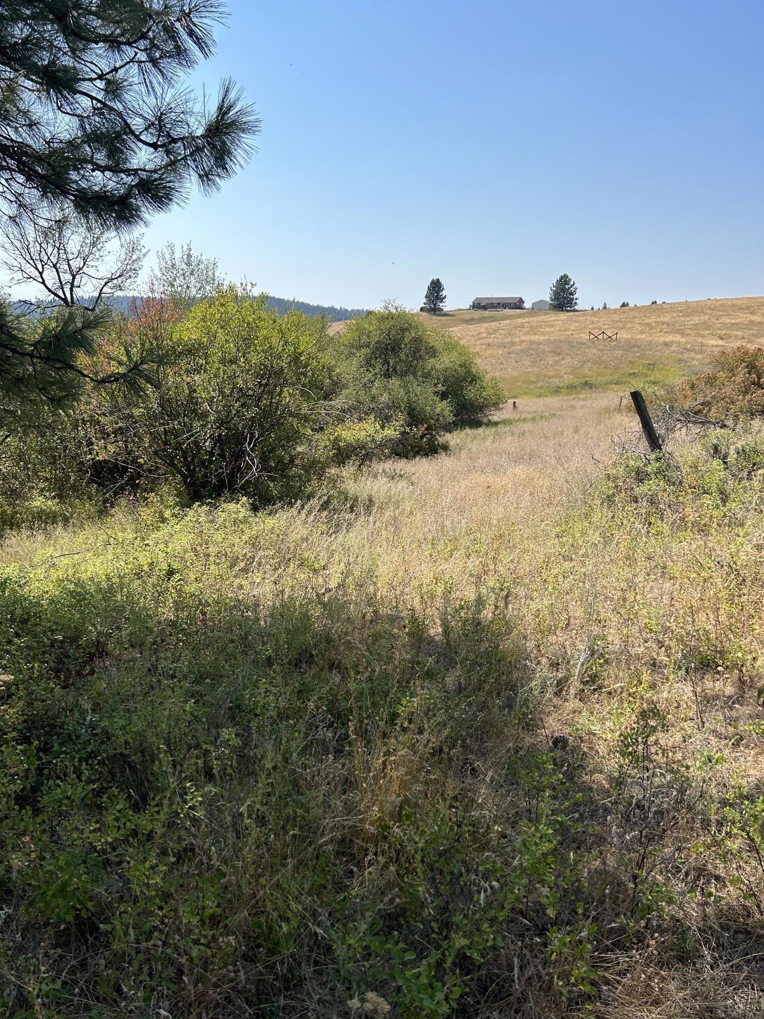 117XX E Tallman Rd - Photo 3