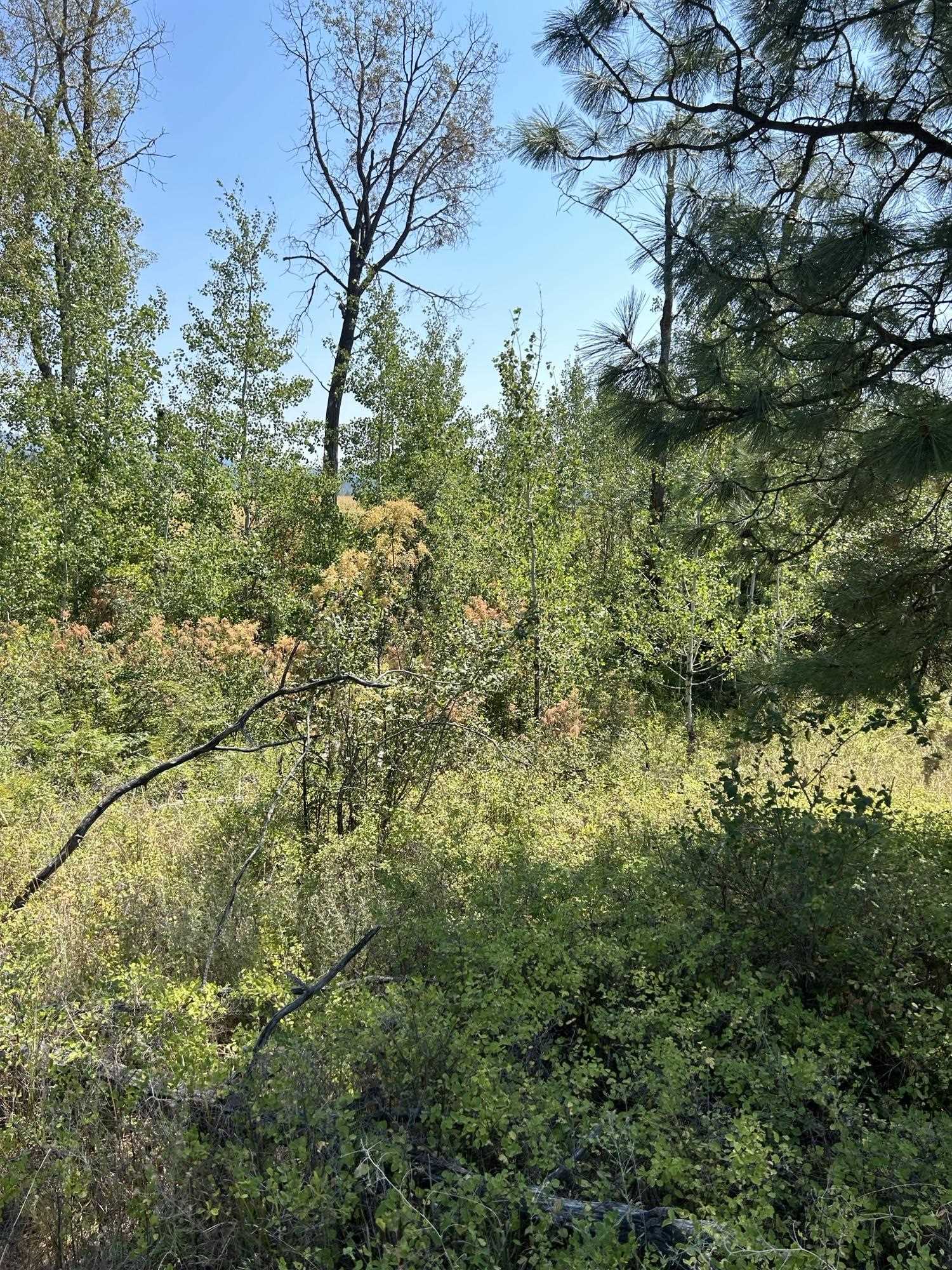 117XX E Tallman Rd - Photo 4