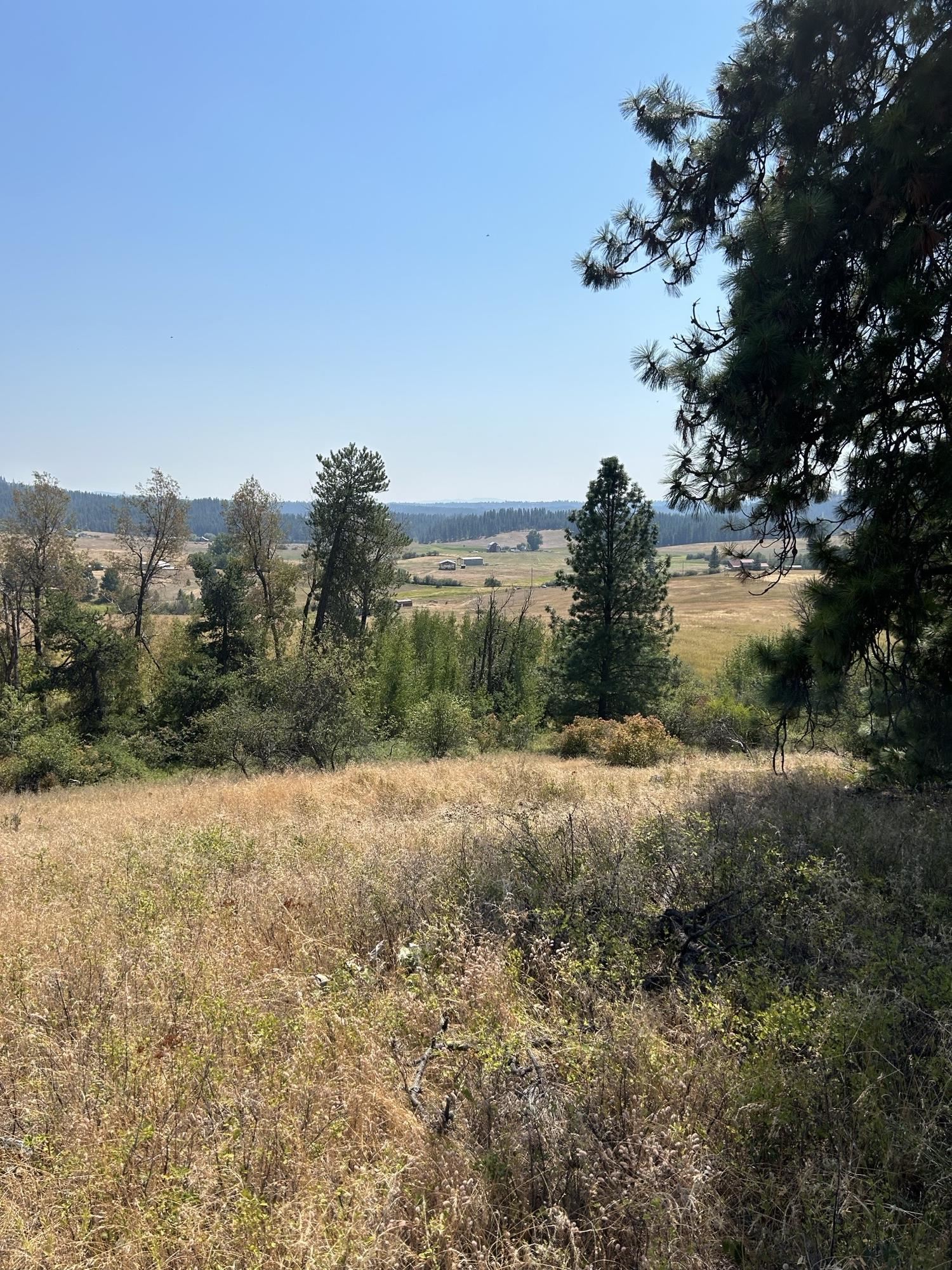 117XX E Tallman Rd - Photo 5