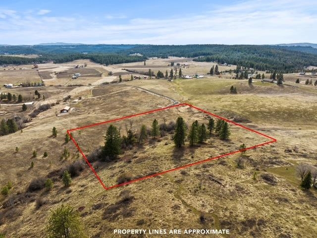 117XX E Tallman Rd - Photo 6