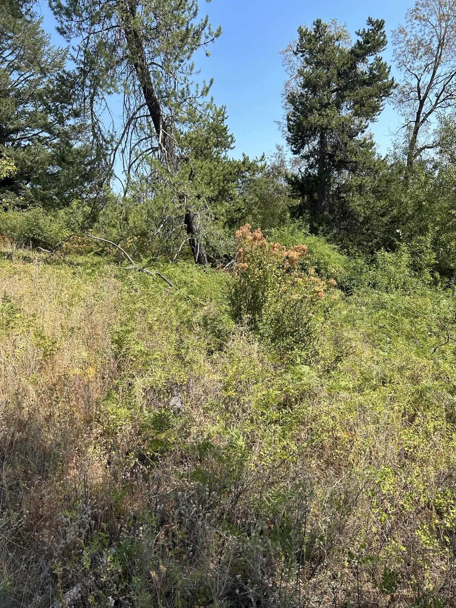 117XX E Tallman Rd - Photo 10