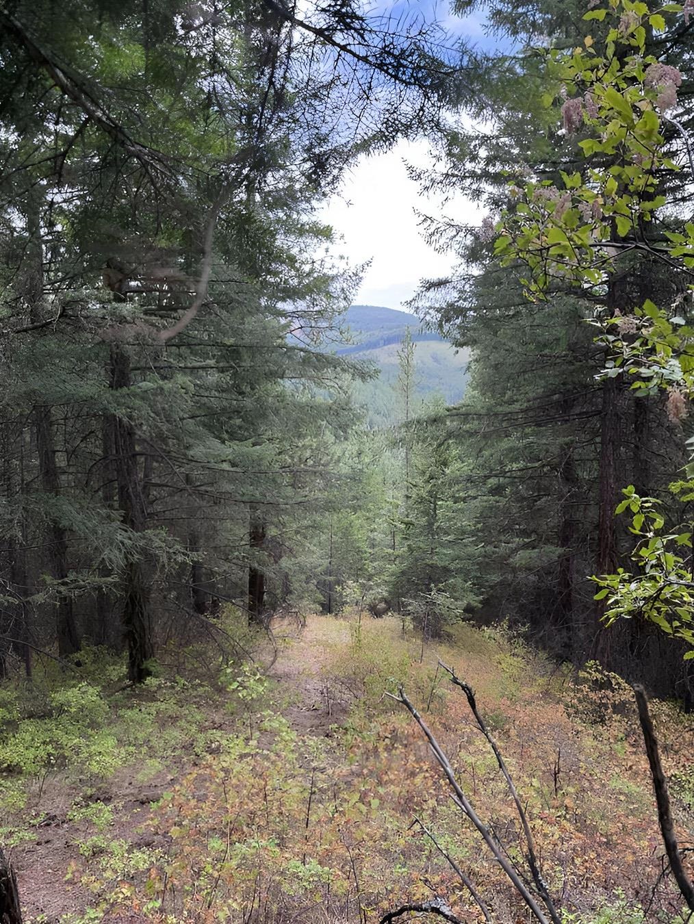 34xxx N Blanchard Creek Rd - Photo 3