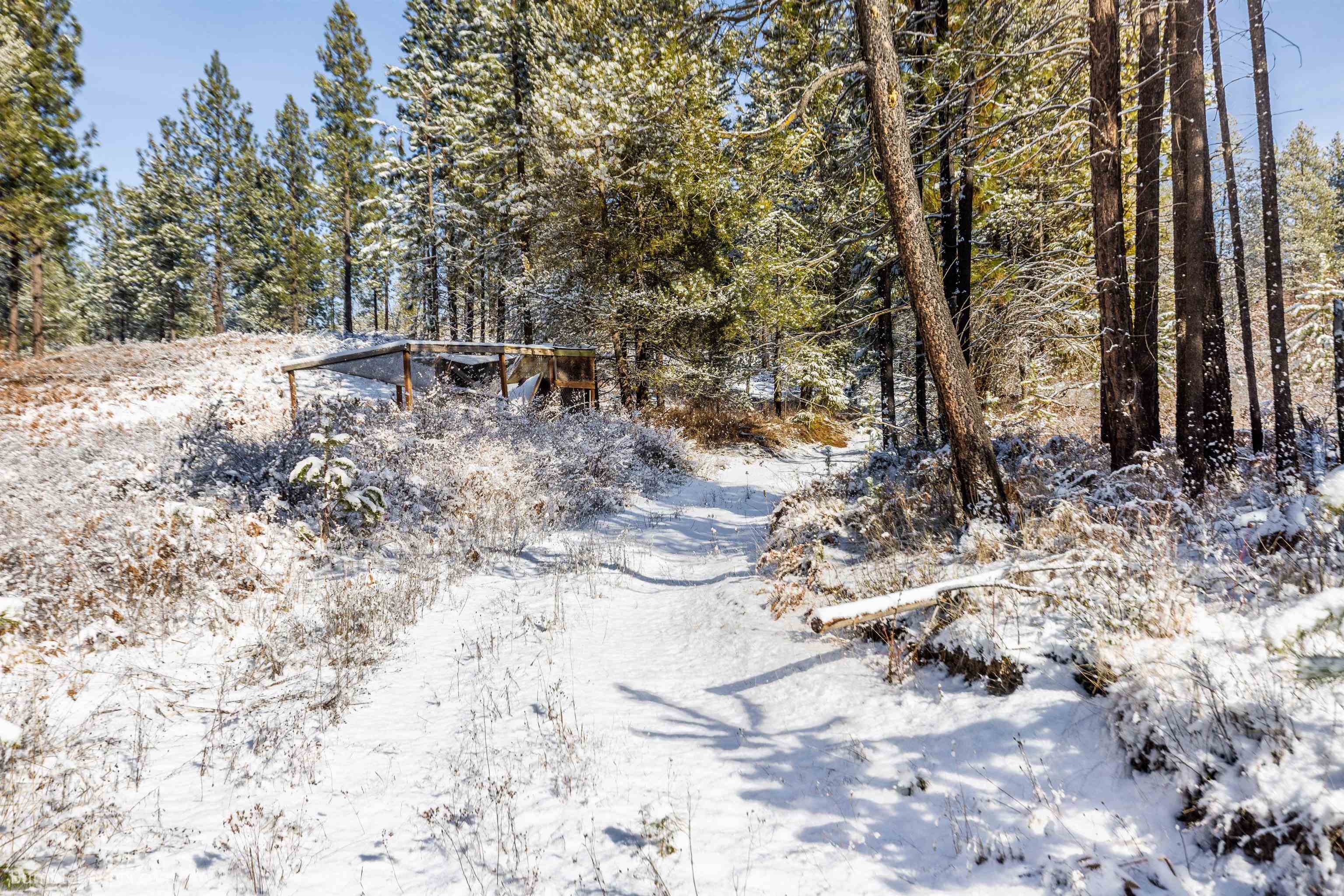 5301 E Eloika Rd - Photo 40