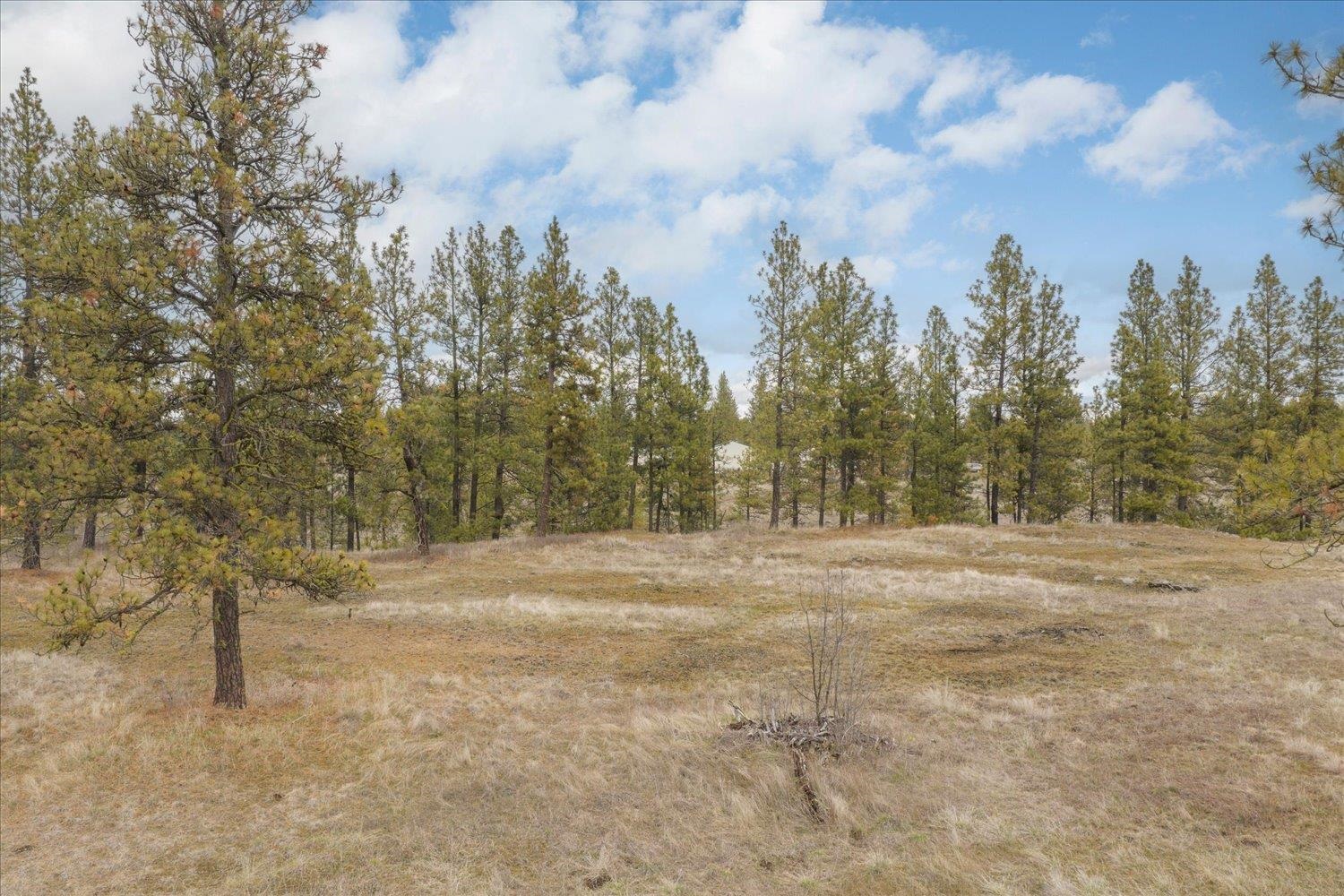 24828 S Pine Spring Rd - Photo 24