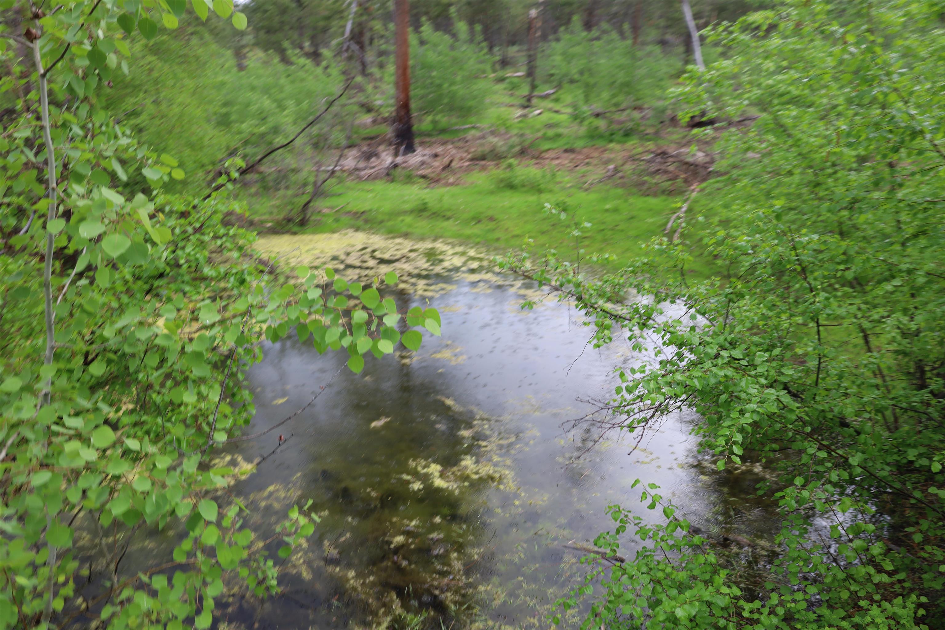 734 Tunk Creek Rd - Photo 24