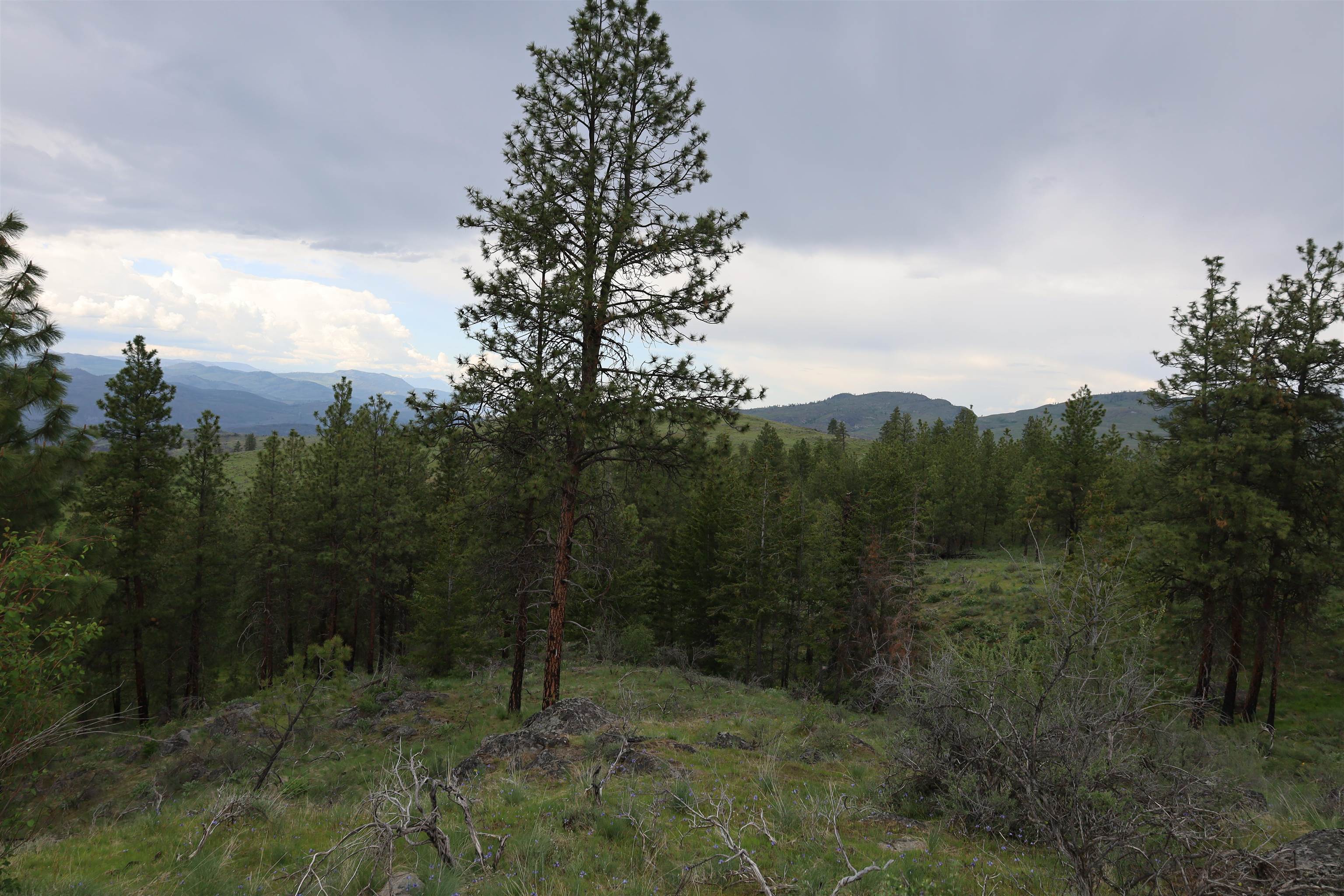 734 Tunk Creek Rd - Photo 34