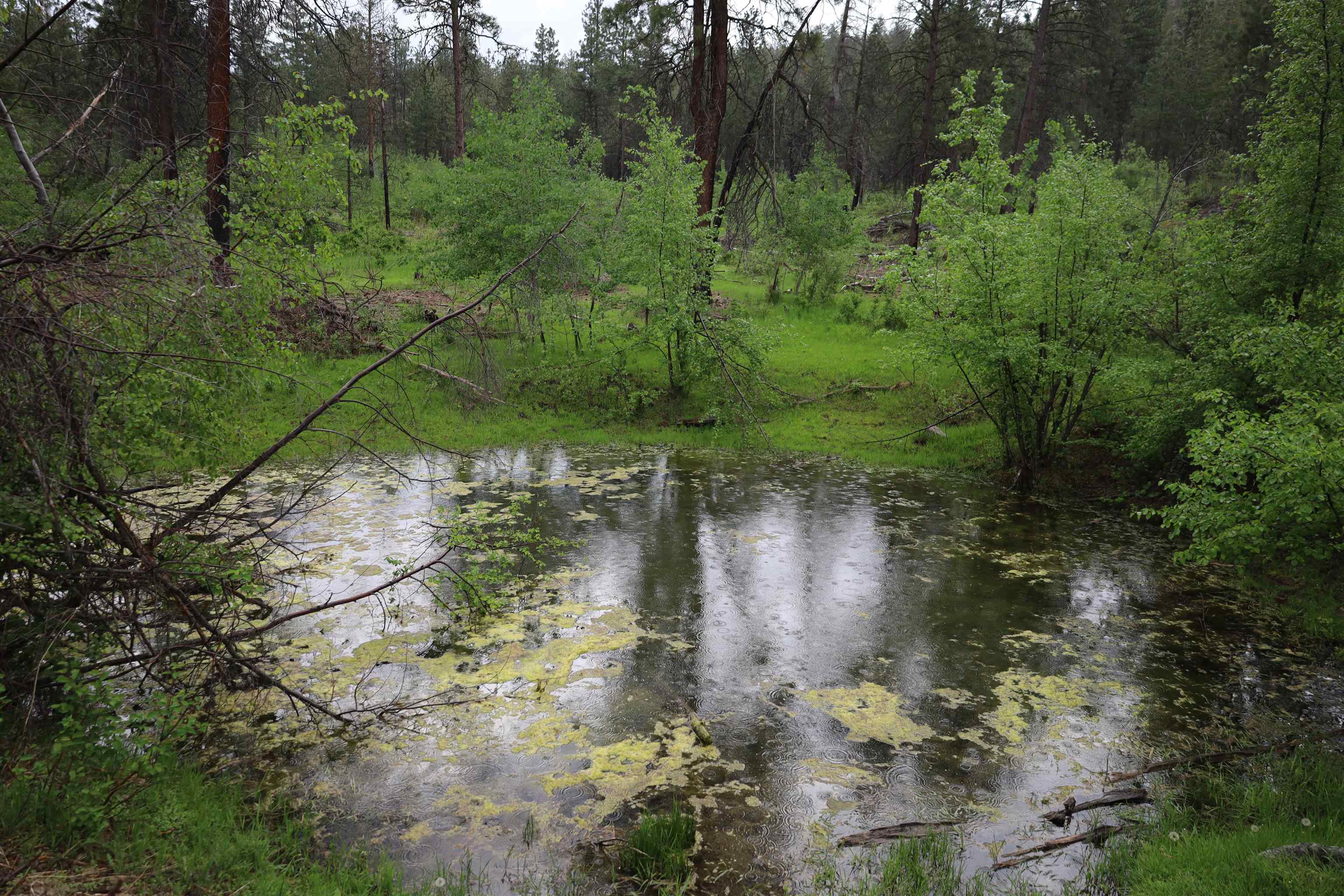 734 Tunk Creek Rd - Photo 35
