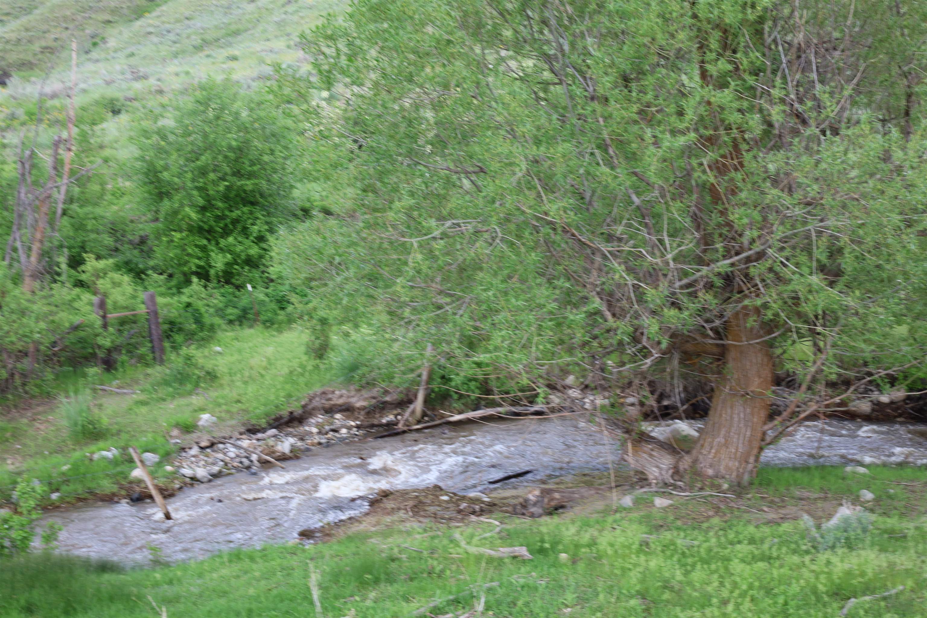 734 Tunk Creek Rd - Photo 36