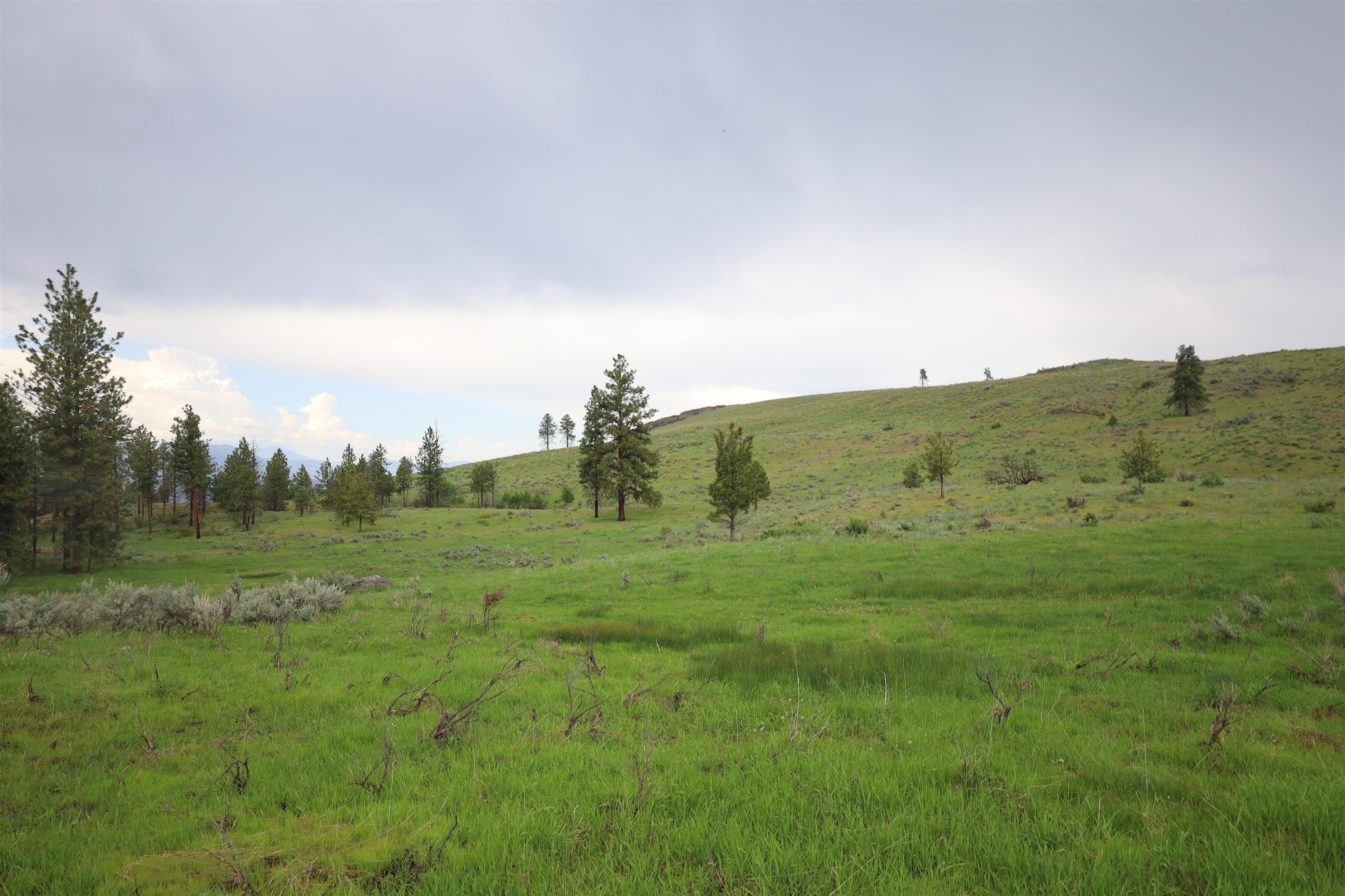 734 Tunk Creek Rd - Photo 41