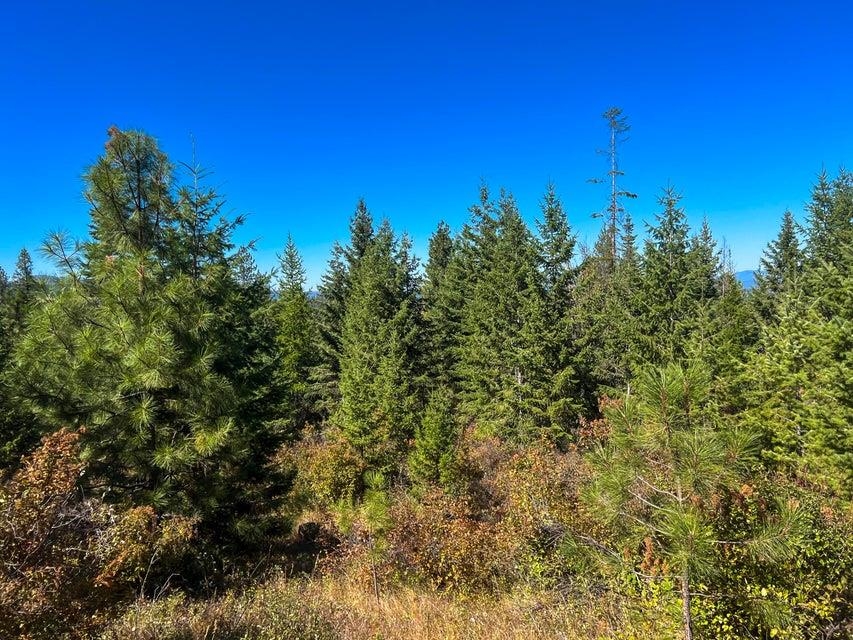 52XX Lot 5 S Swenson Rd - Photo 3