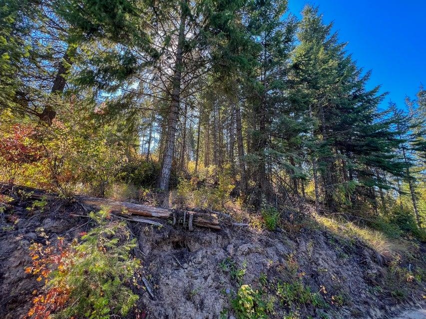 52XX Lot 5 S Swenson Rd - Photo 5