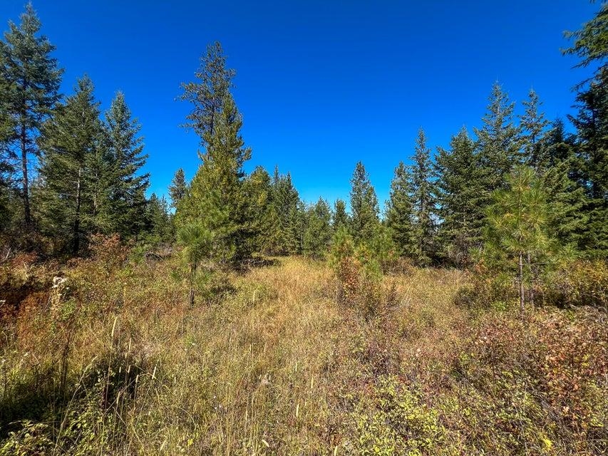 52XX Lot 5 S Swenson Rd - Photo 6