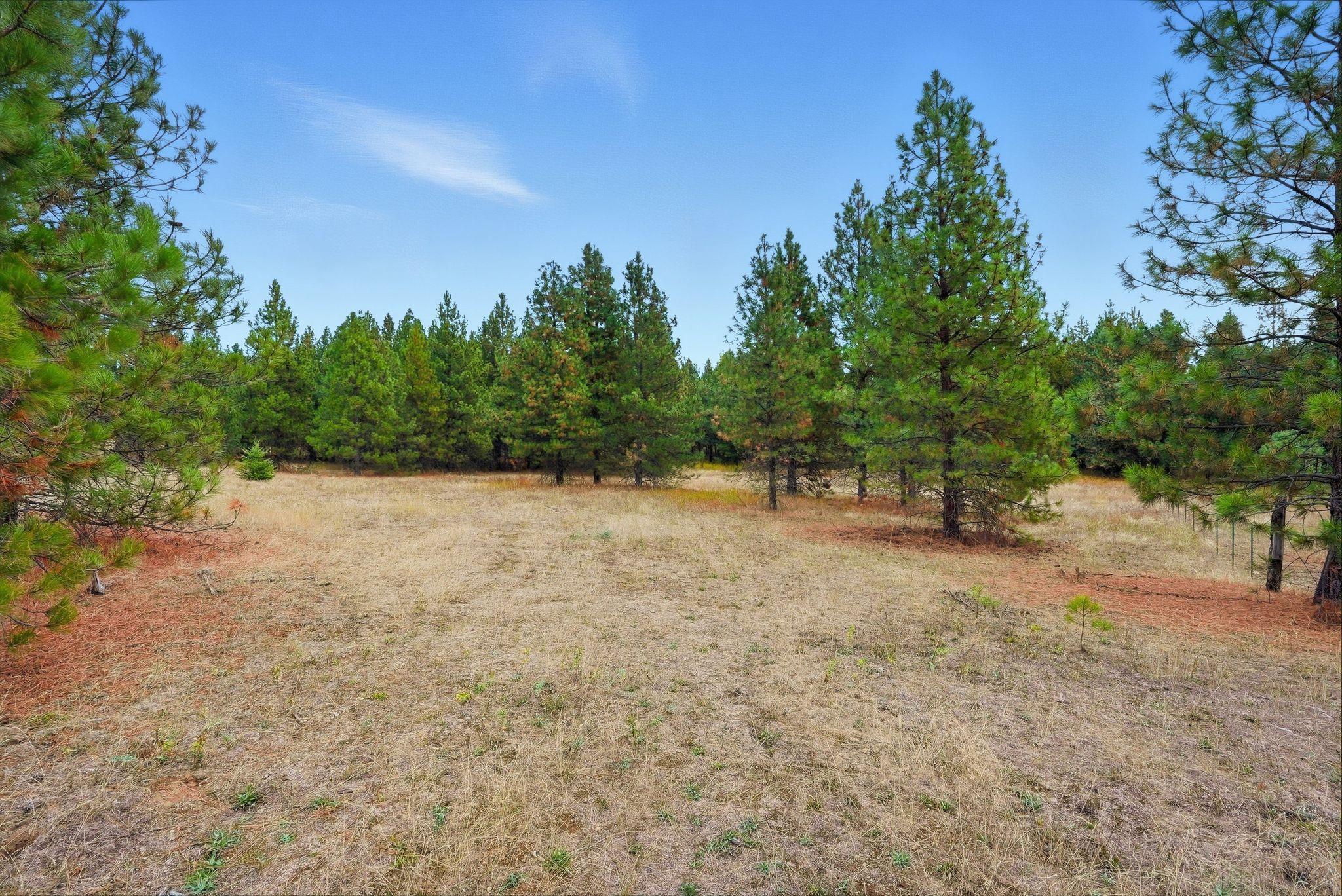 4710 B Price Rd - Photo 12
