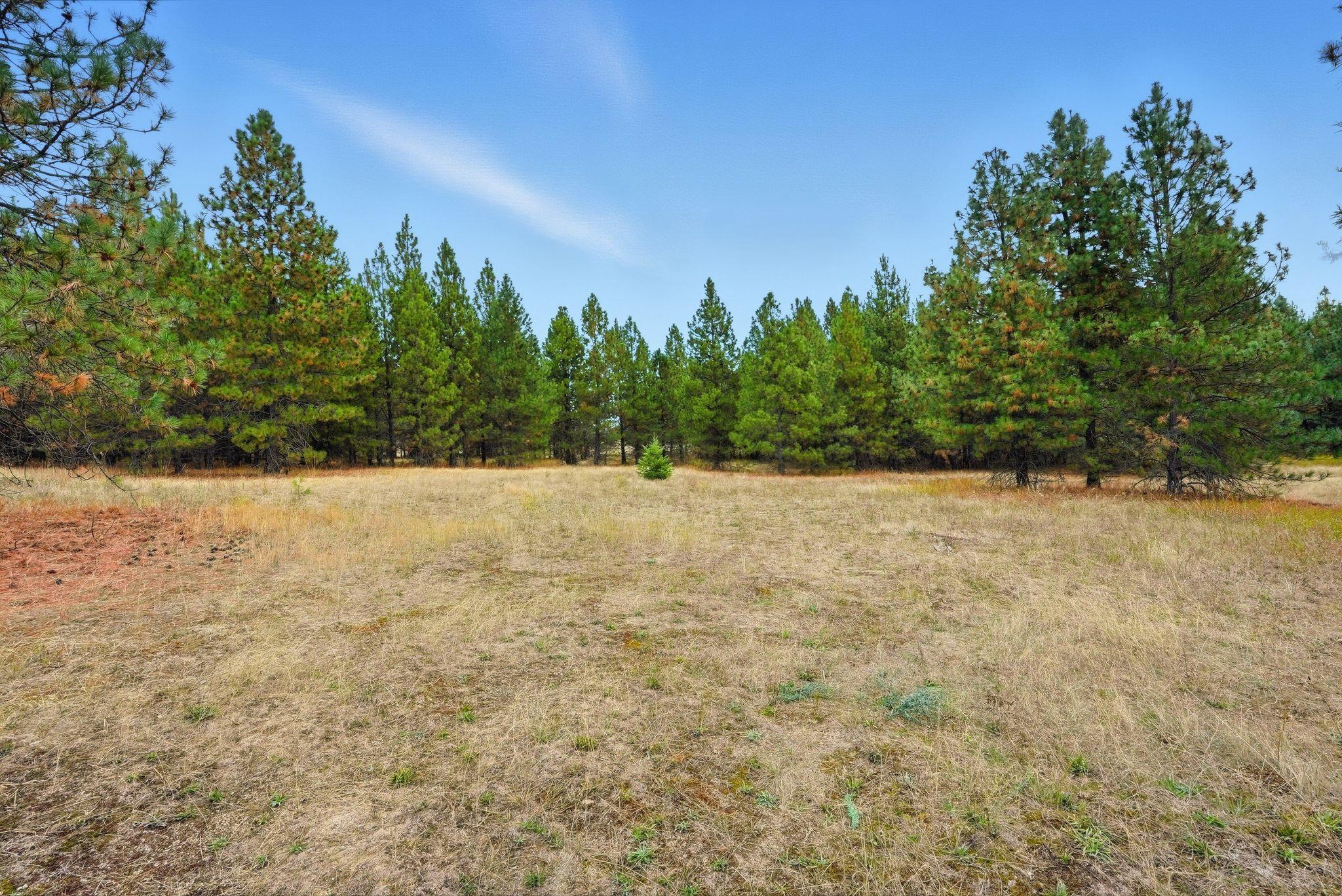 4710 B Price Rd - Photo 13