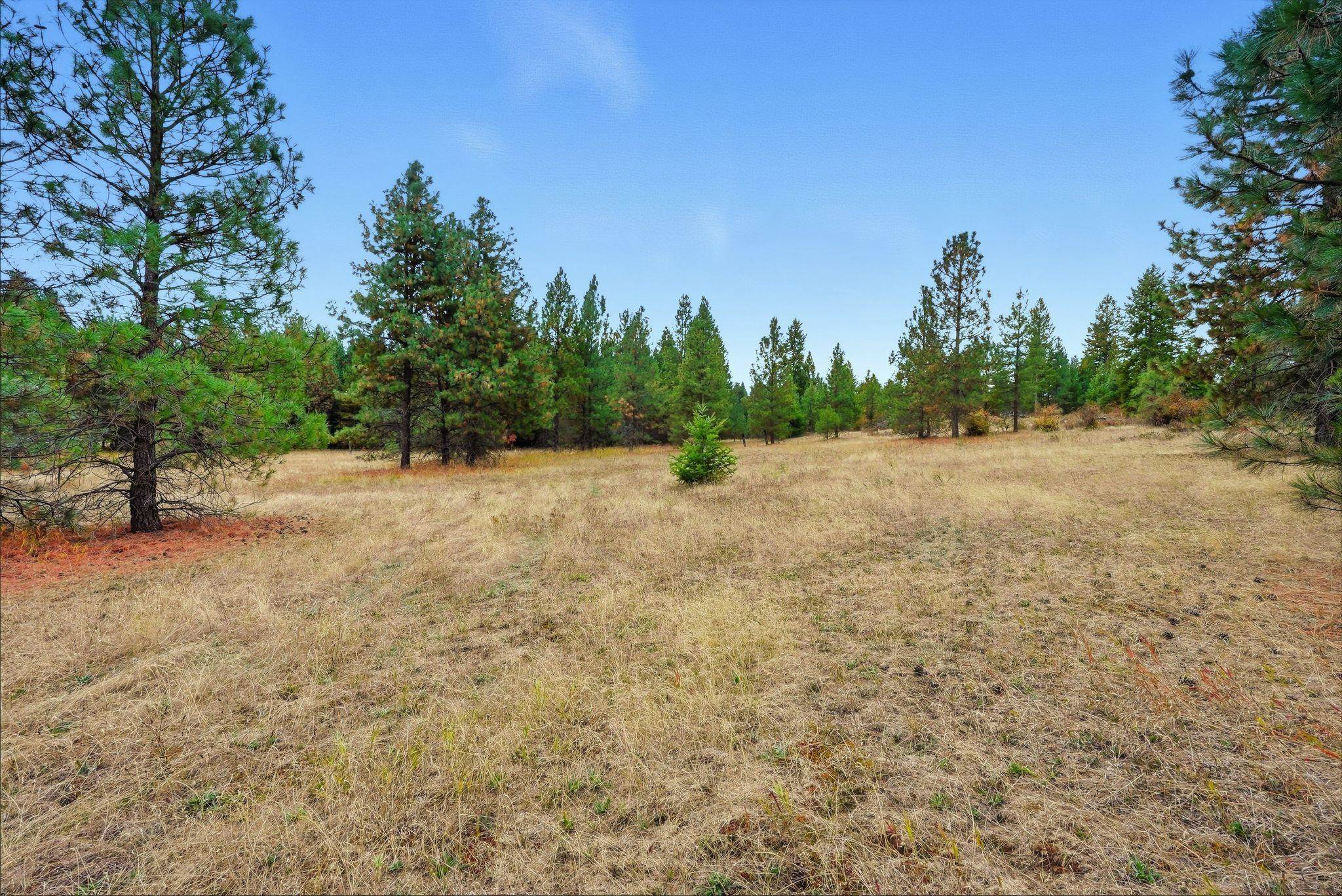 4710 B Price Rd - Photo 14