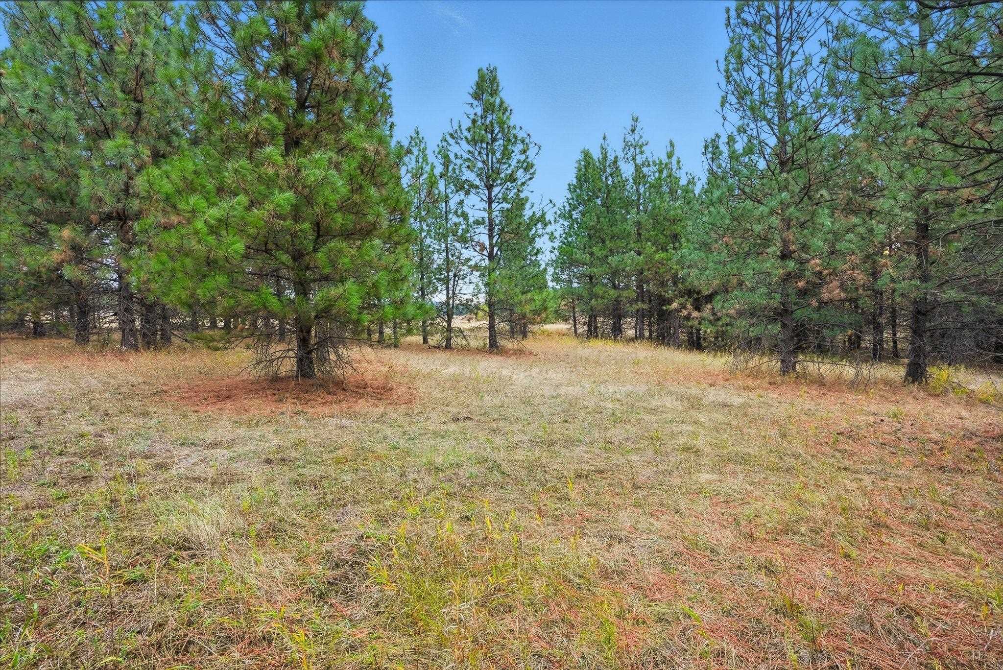 4710 B Price Rd - Photo 15