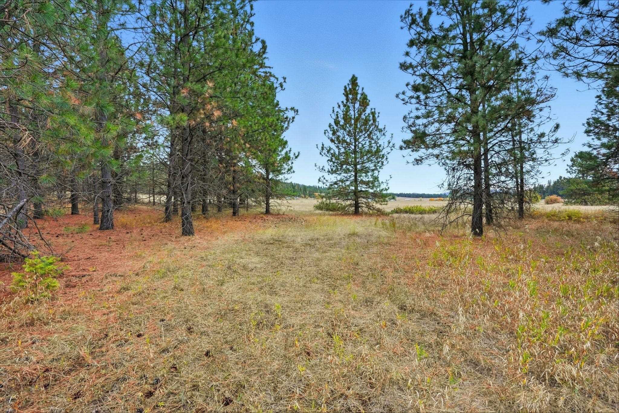 4710 B Price Rd - Photo 16