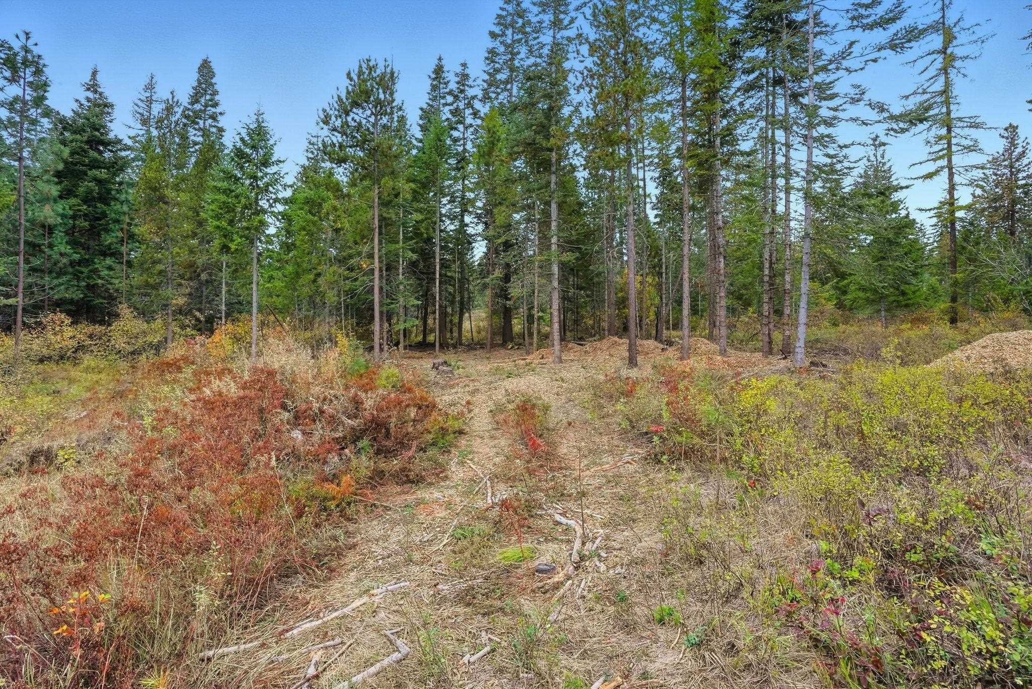 4710 B Price Rd - Photo 18