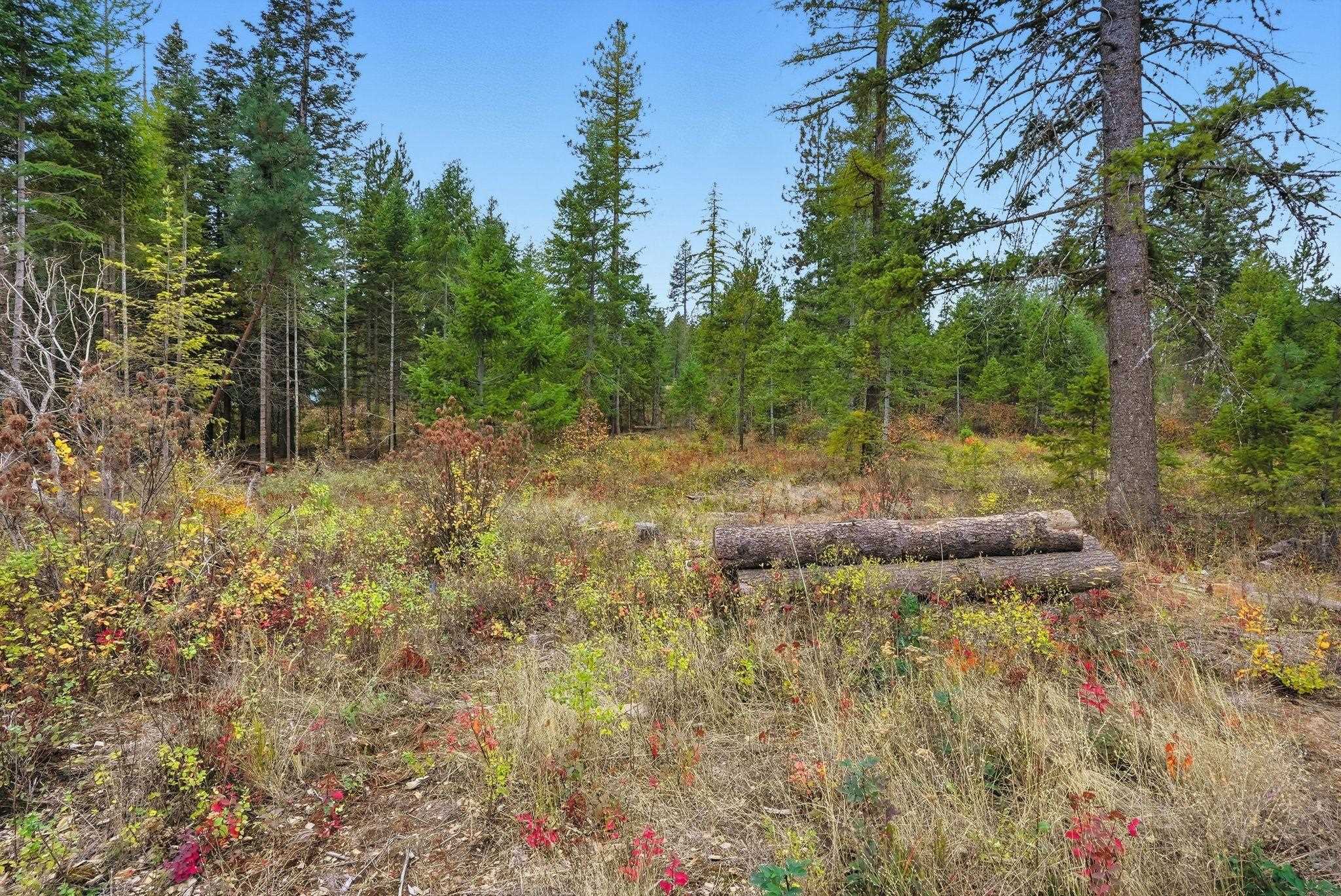 4710 B Price Rd - Photo 19