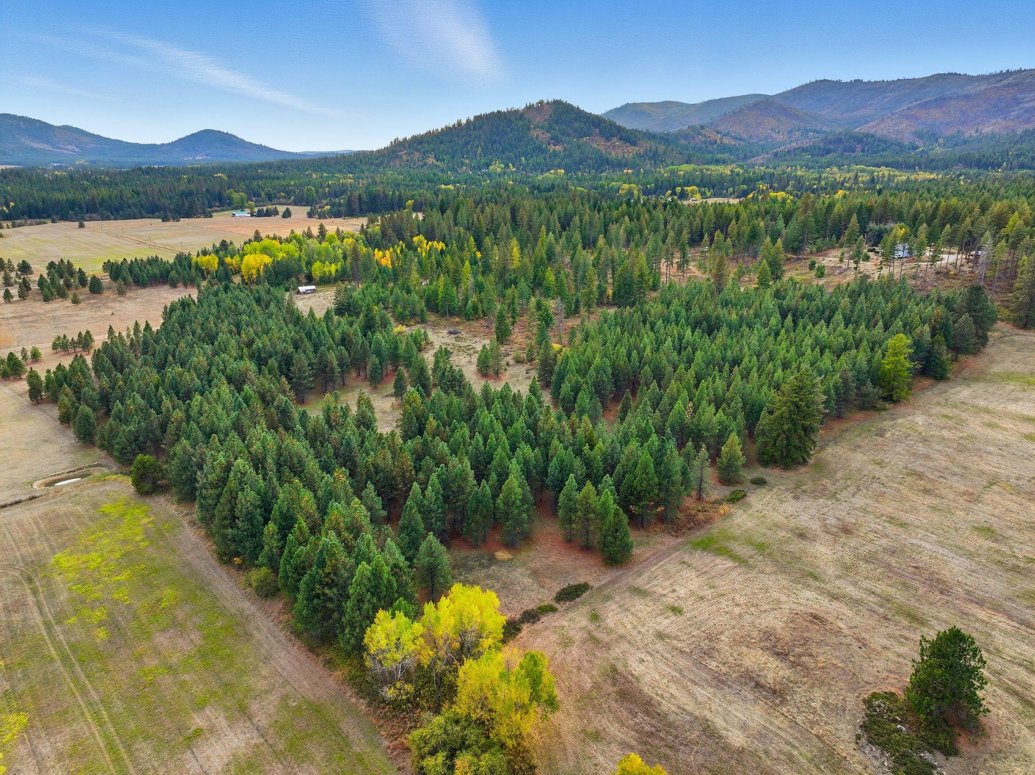 4710 B Price Rd - Photo 3