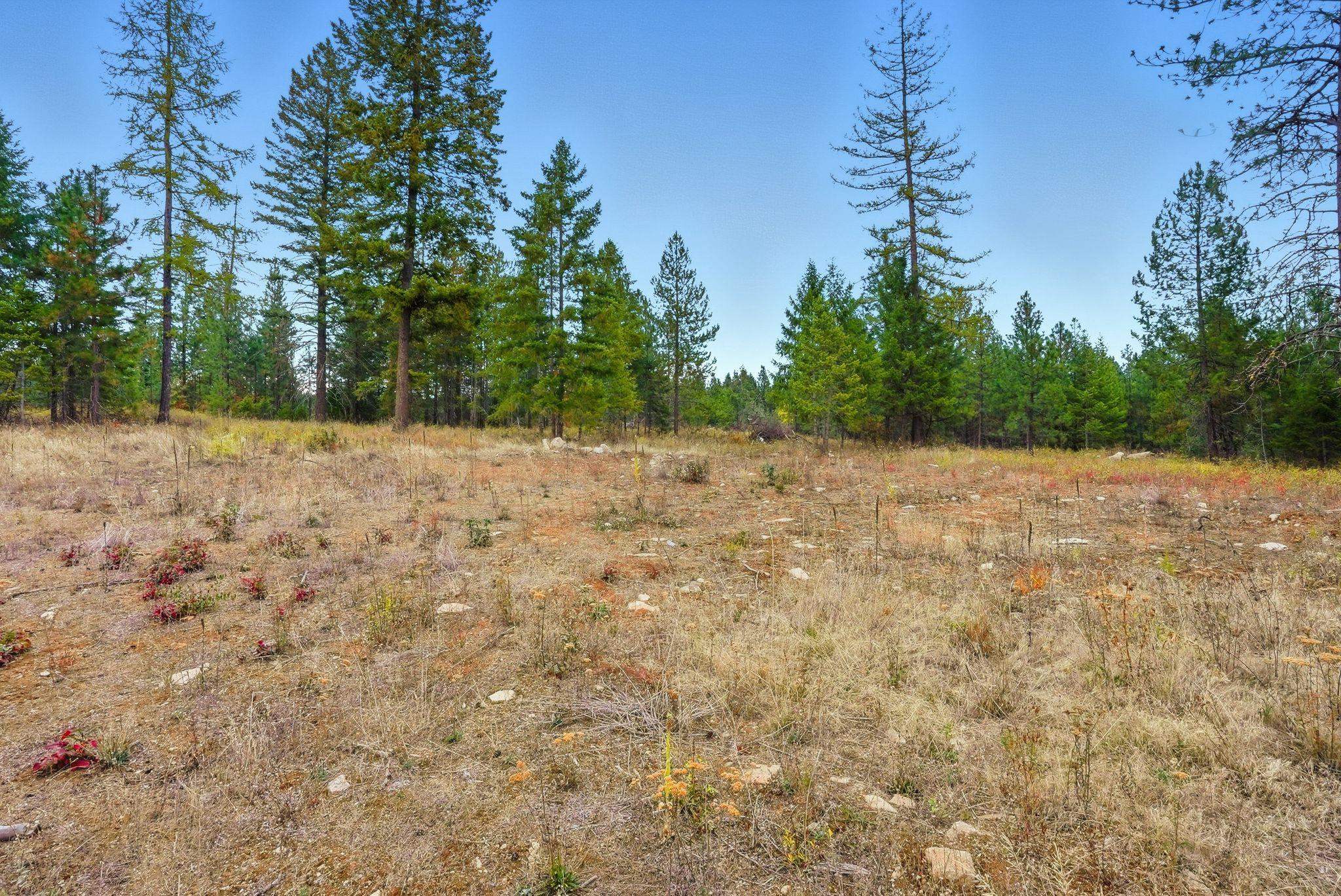 4710 B Price Rd - Photo 22