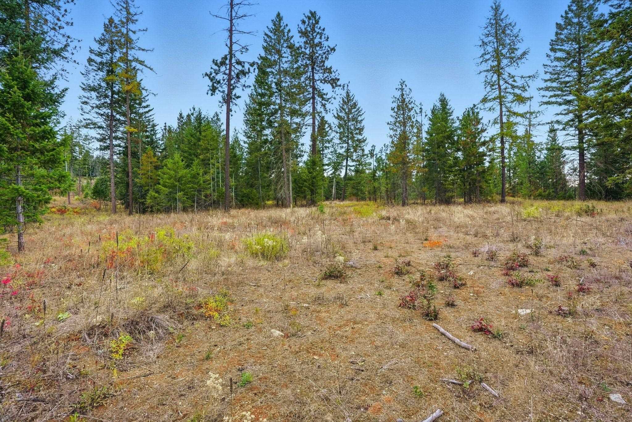 4710 B Price Rd - Photo 23