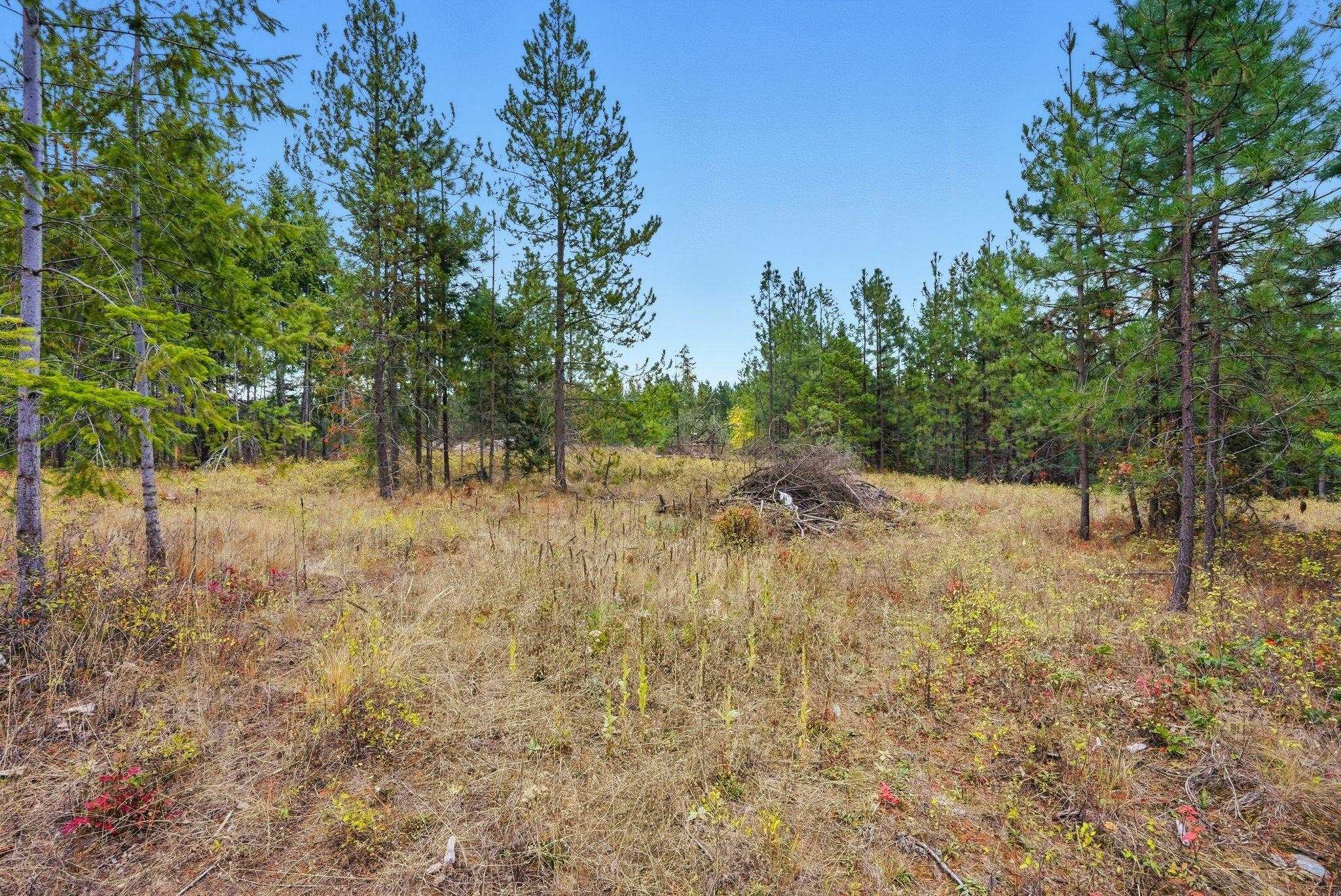 4710 B Price Rd - Photo 25