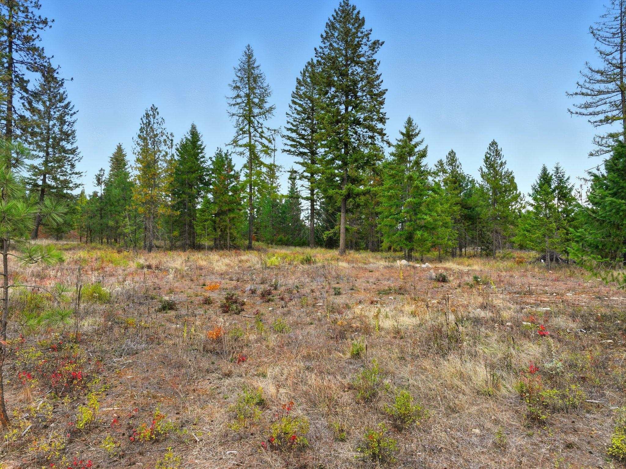 4710 B Price Rd - Photo 30