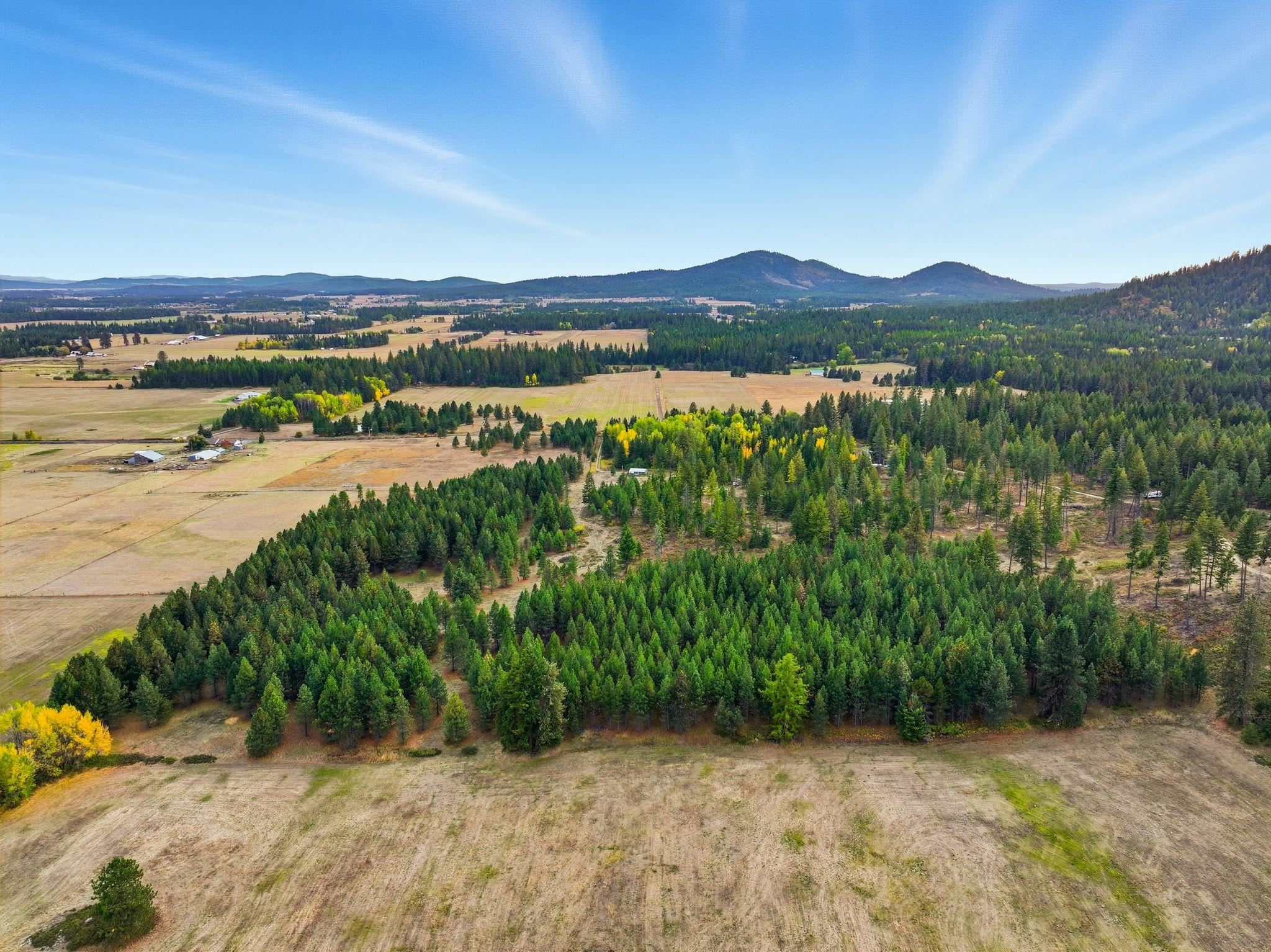 4710 B Price Rd - Photo 4