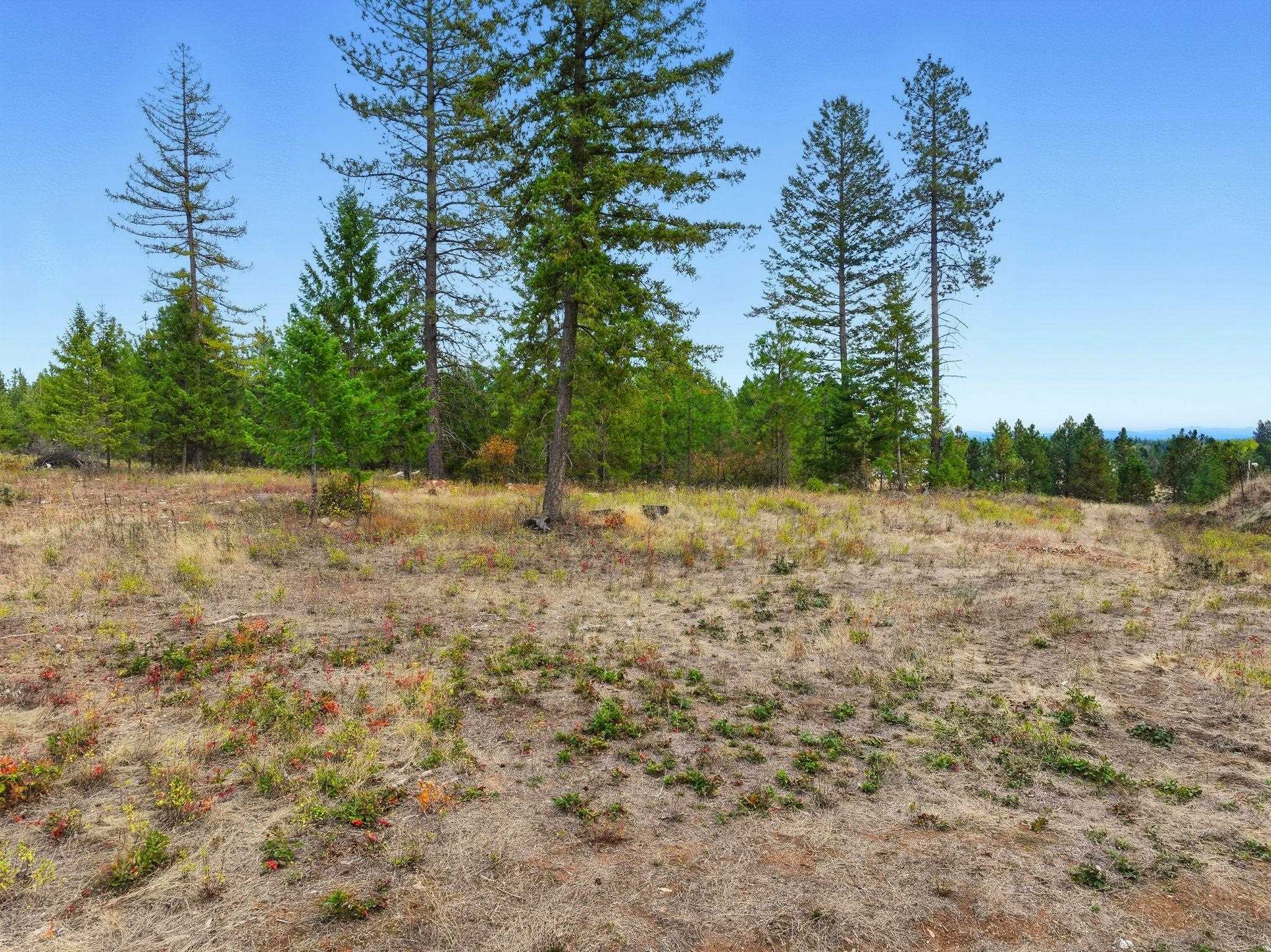 4710 B Price Rd - Photo 33