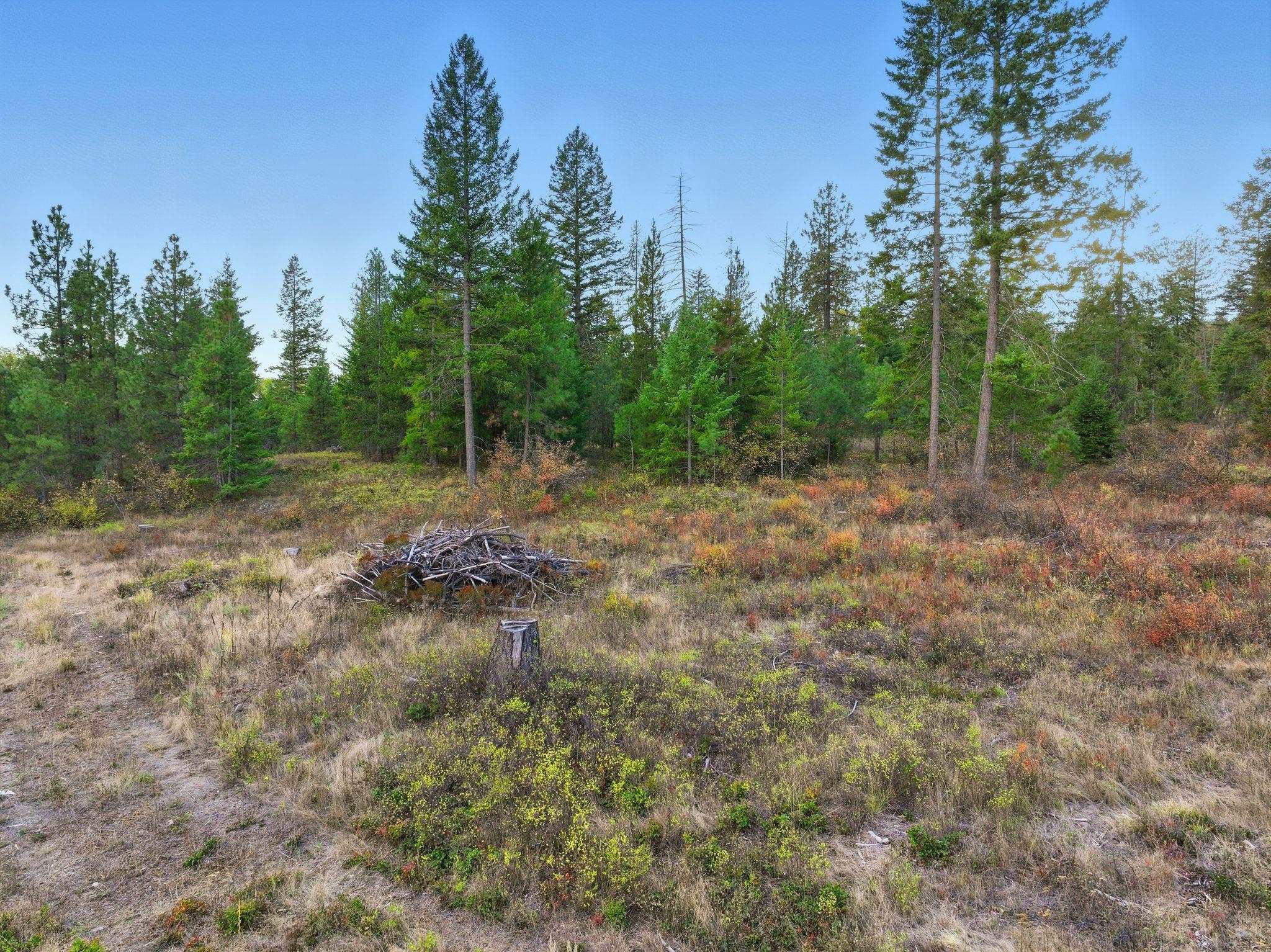 4710 B Price Rd - Photo 37