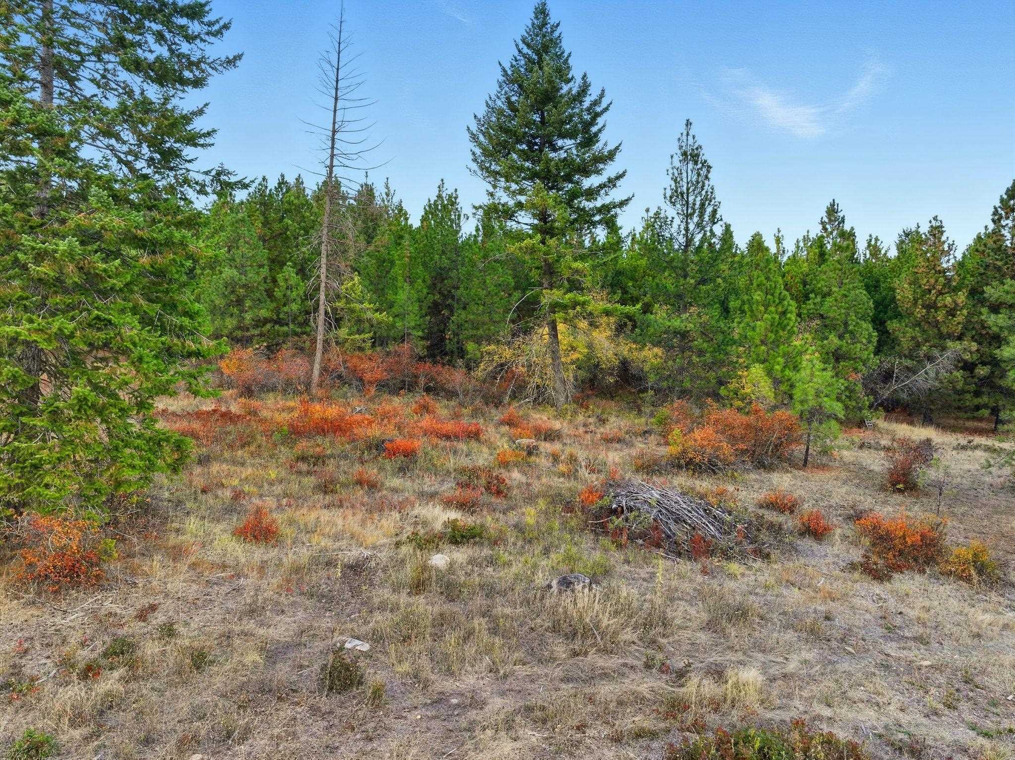 4710 B Price Rd - Photo 38