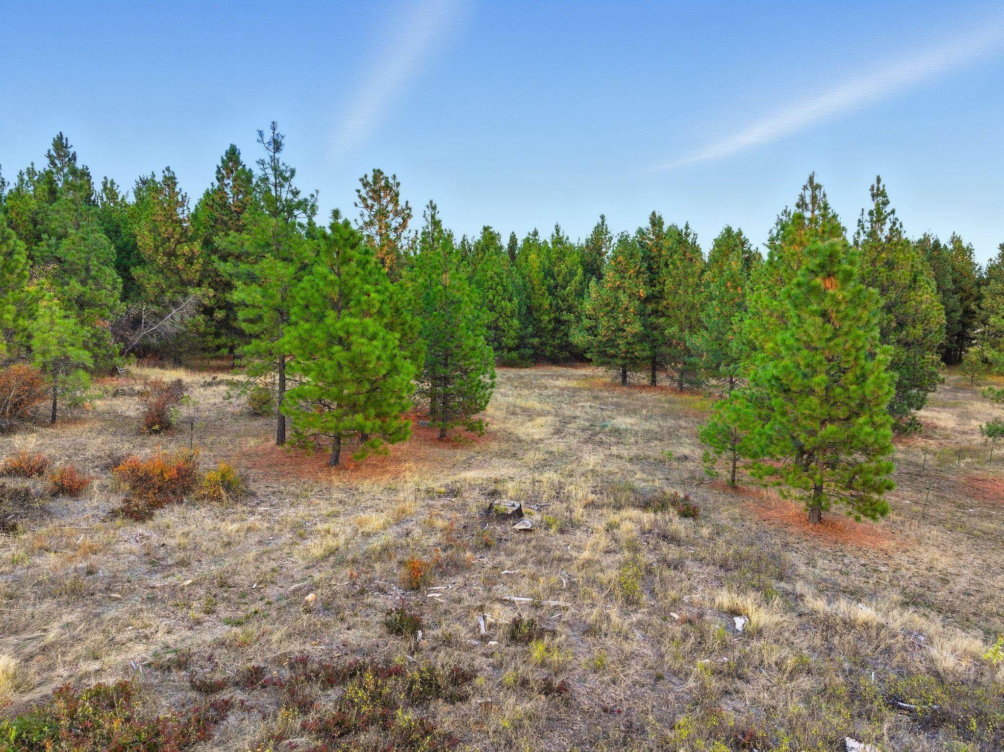 4710 B Price Rd - Photo 39