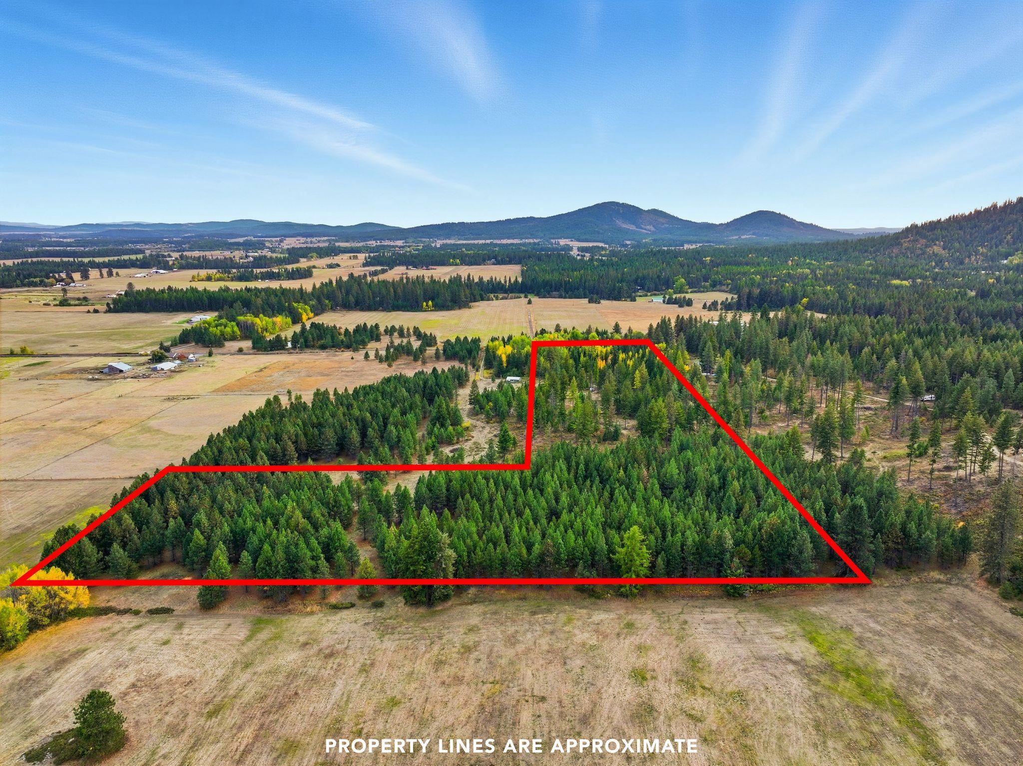 4710 B Price Rd - Photo 5