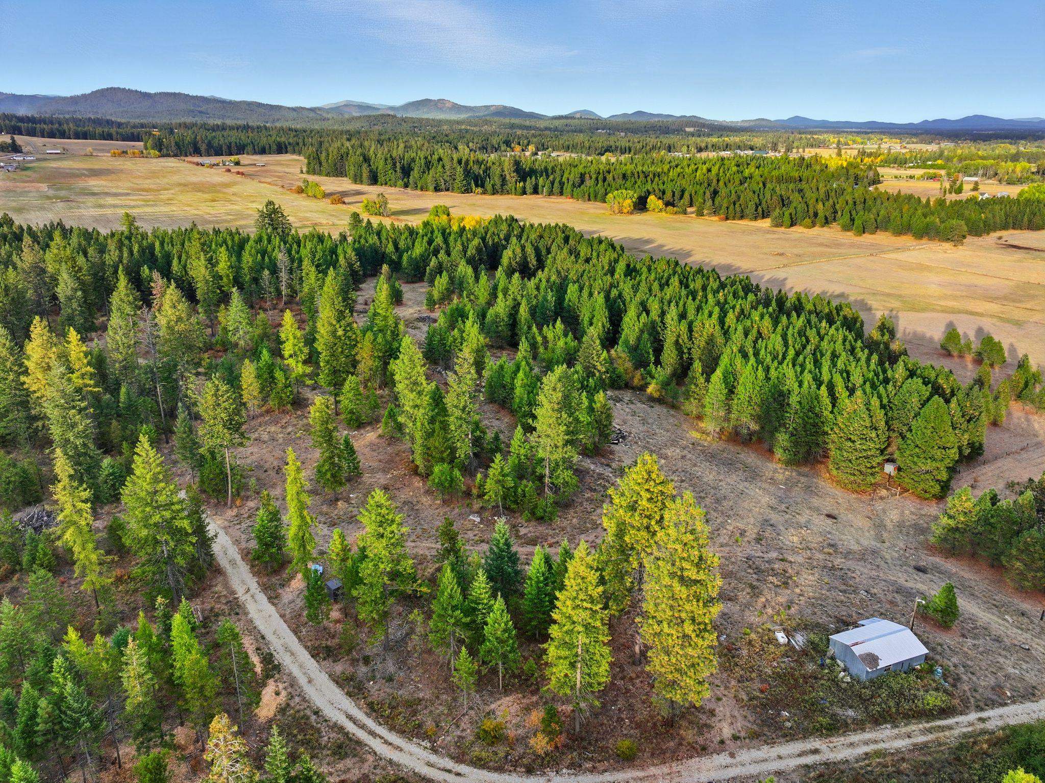 4710 B Price Rd - Photo 9