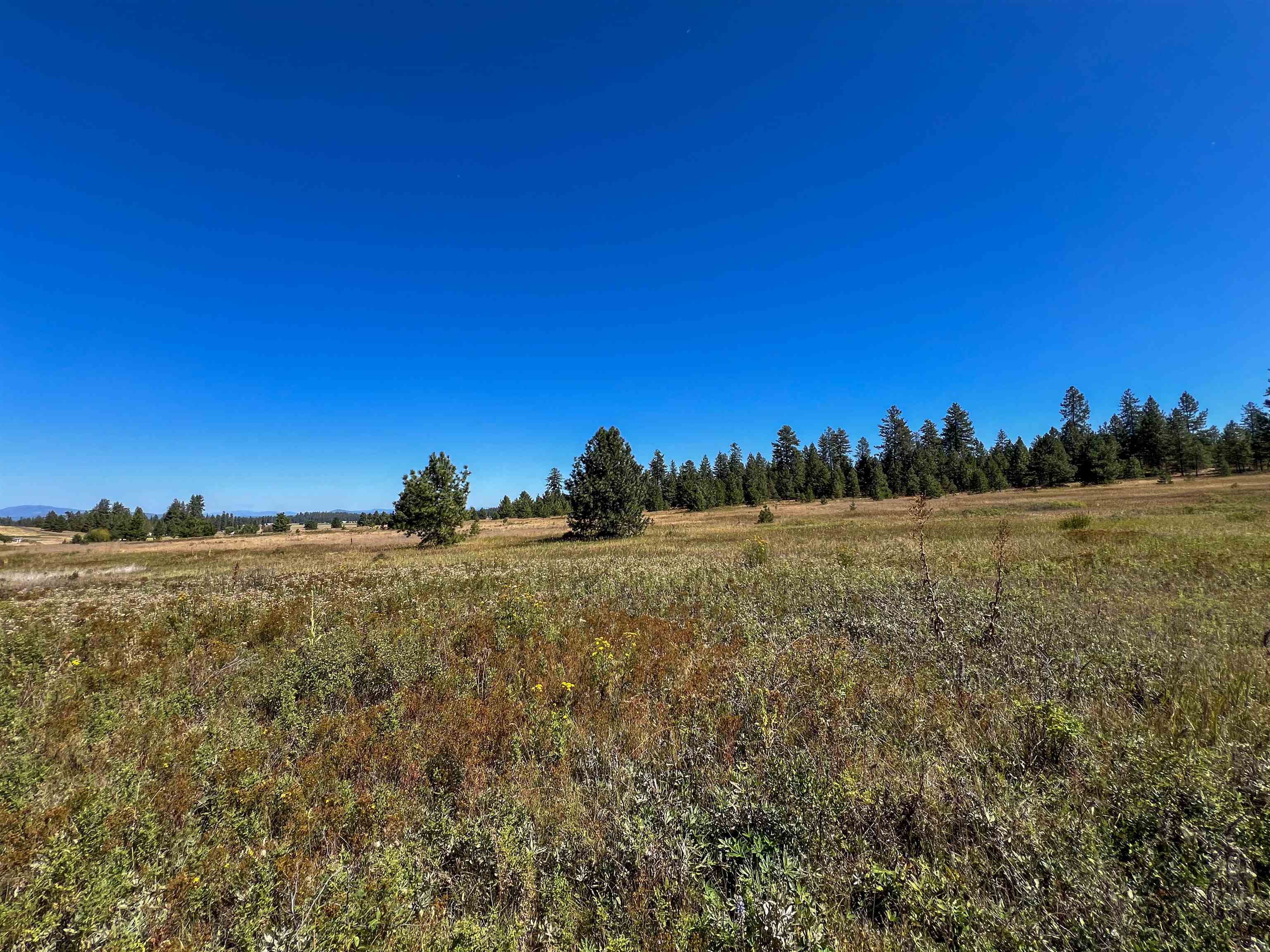 52XX Lot 1 Swenson Rd - Photo 2