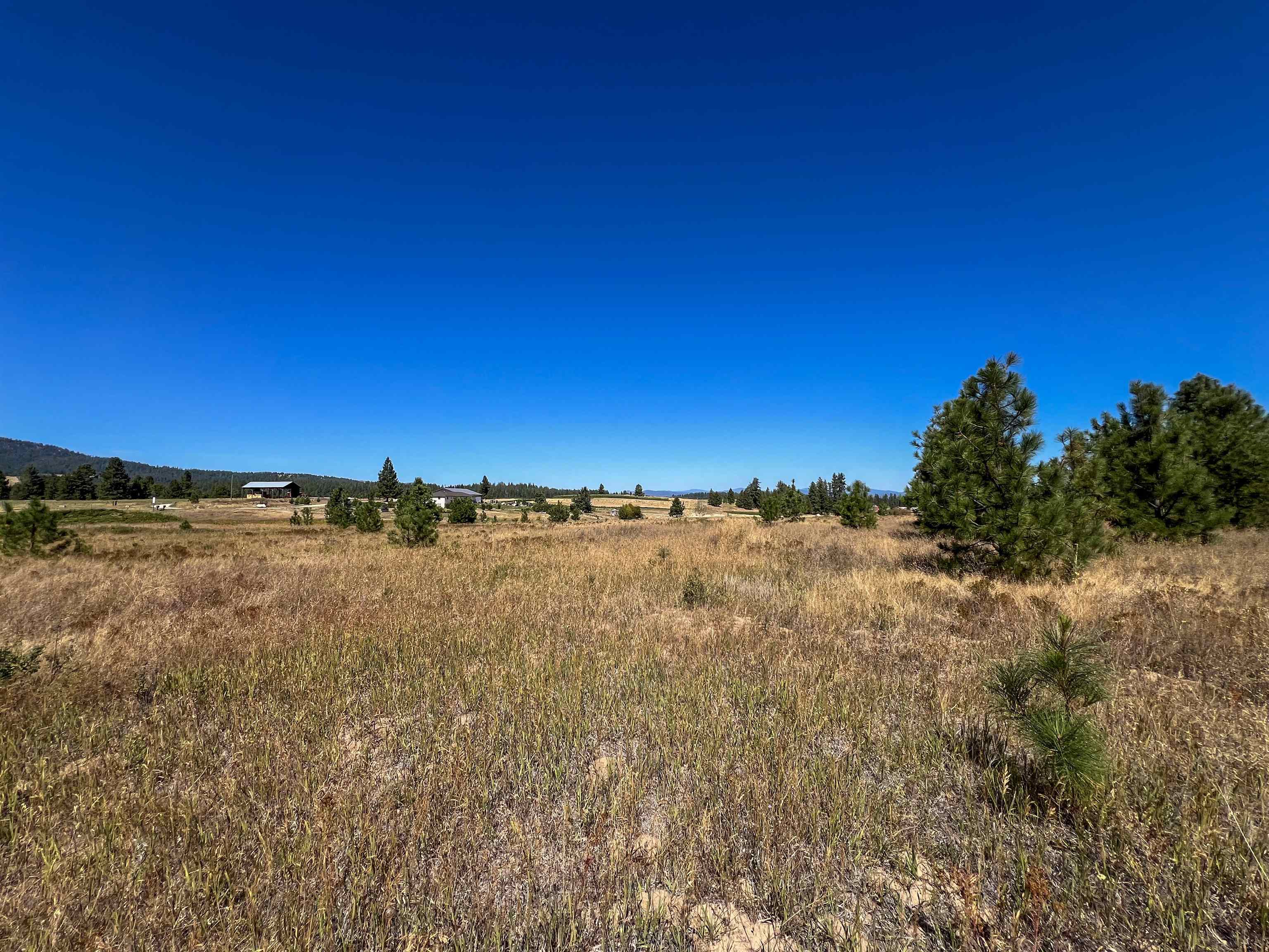 52XX Lot 1 Swenson Rd - Photo 11