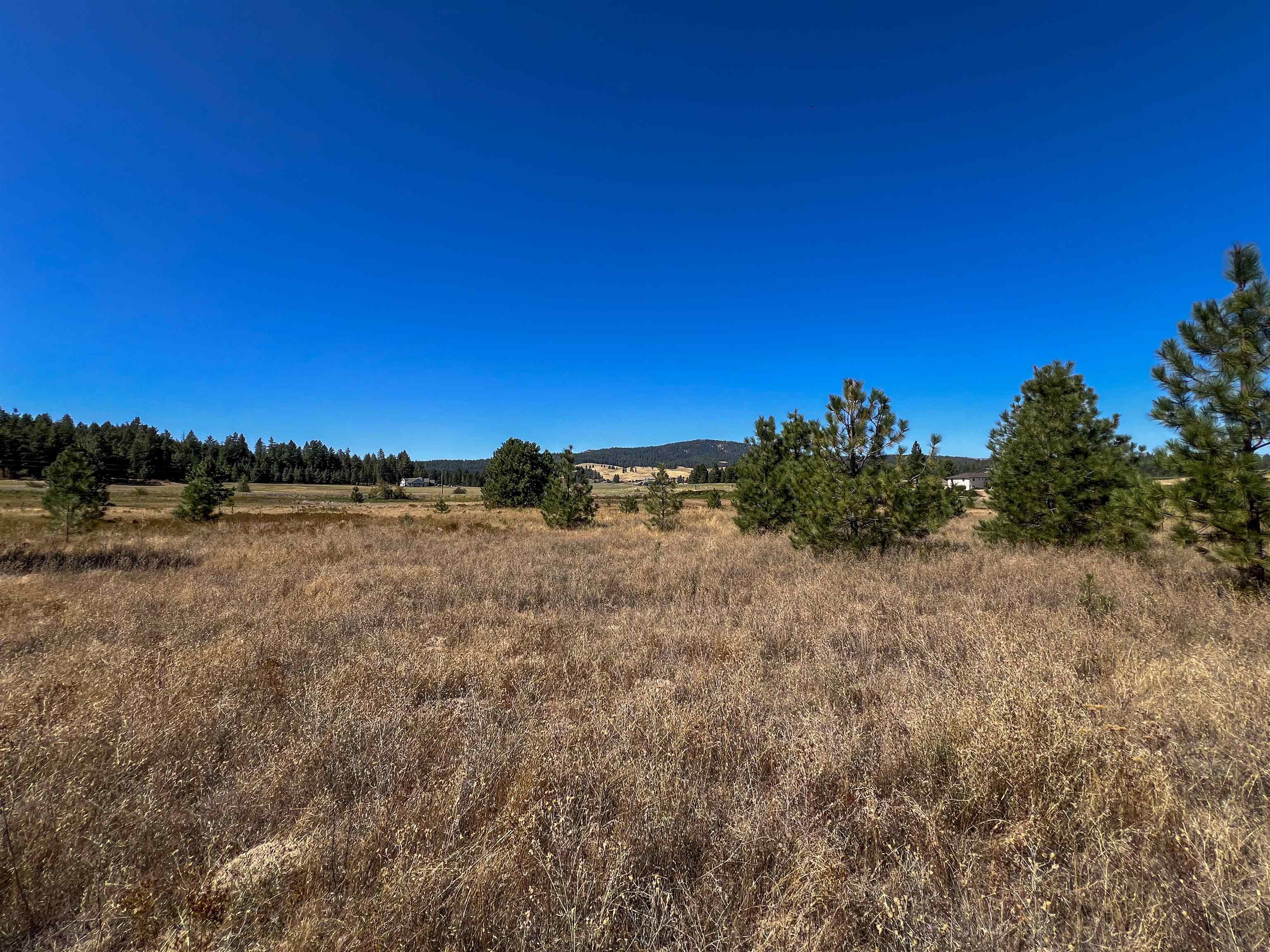 52XX Lot 1 Swenson Rd - Photo 12