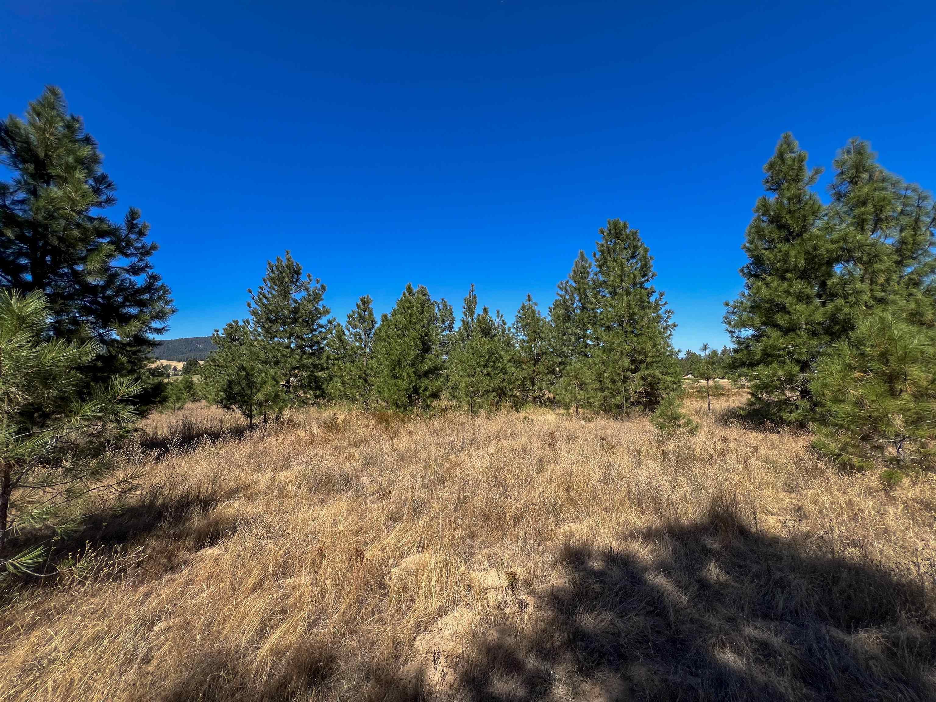 52XX Lot 1 Swenson Rd - Photo 13