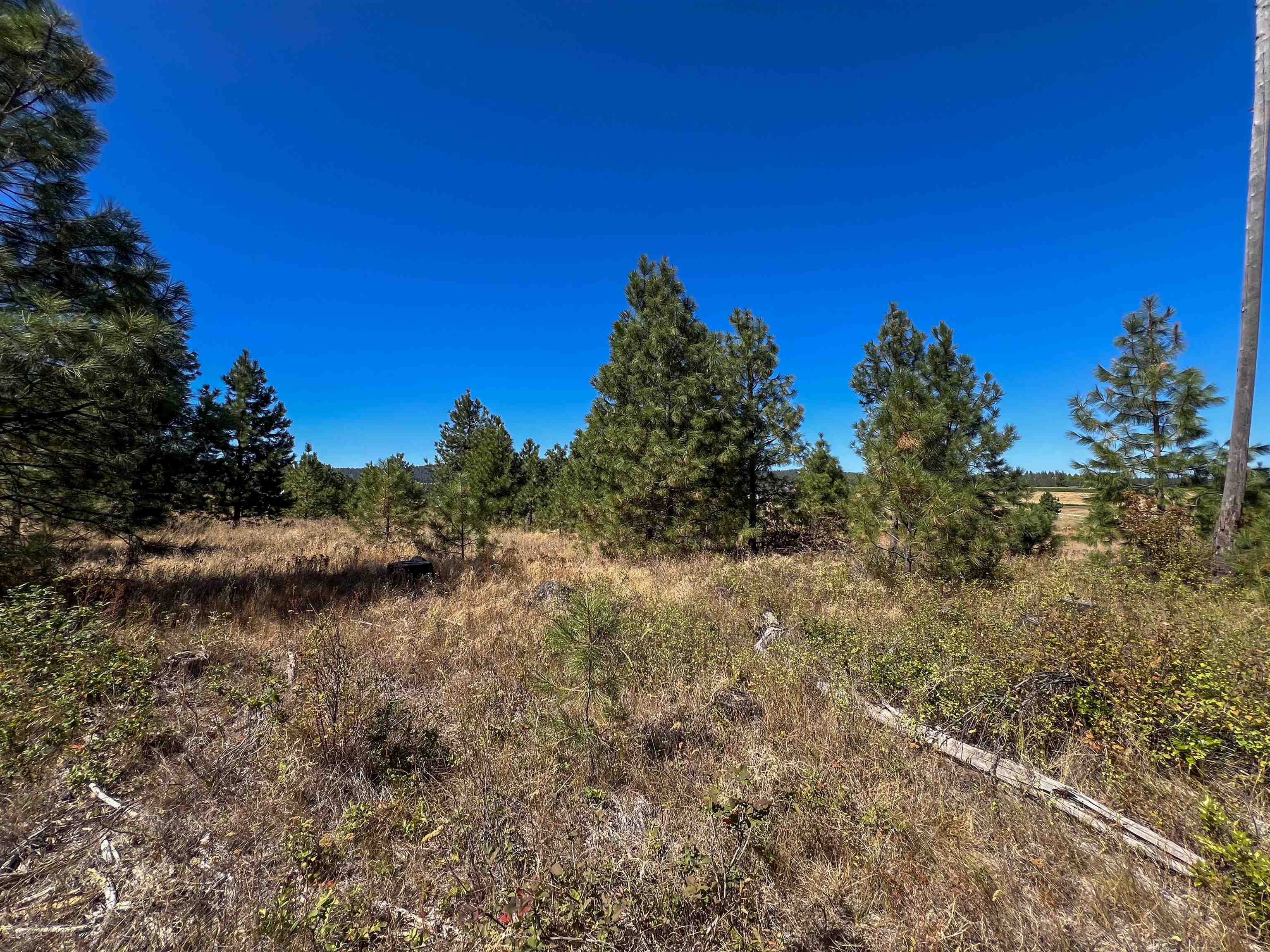 52XX Lot 1 Swenson Rd - Photo 14
