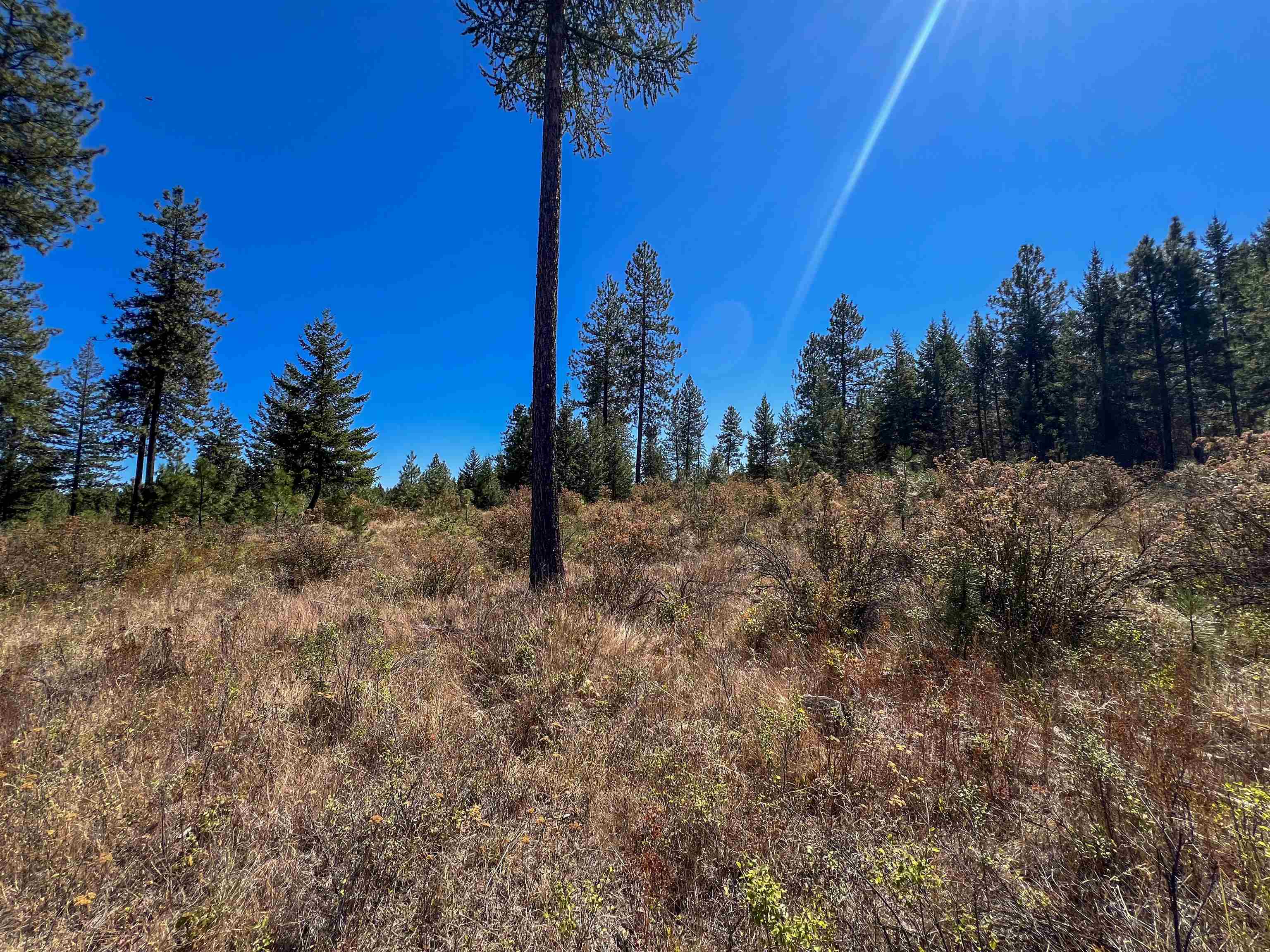 52XX Lot 1 Swenson Rd - Photo 15