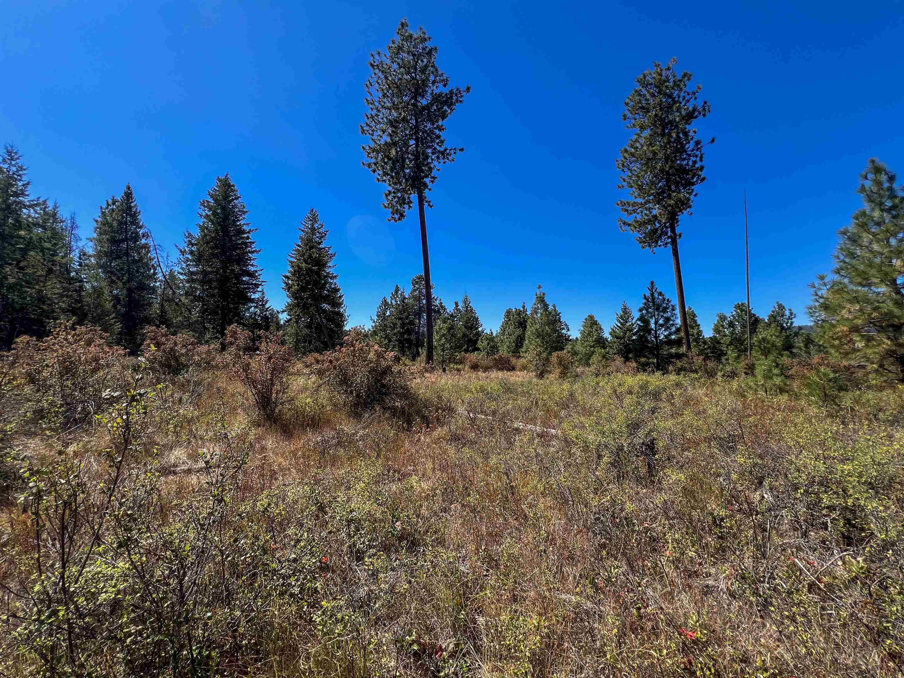 52XX Lot 1 Swenson Rd - Photo 16