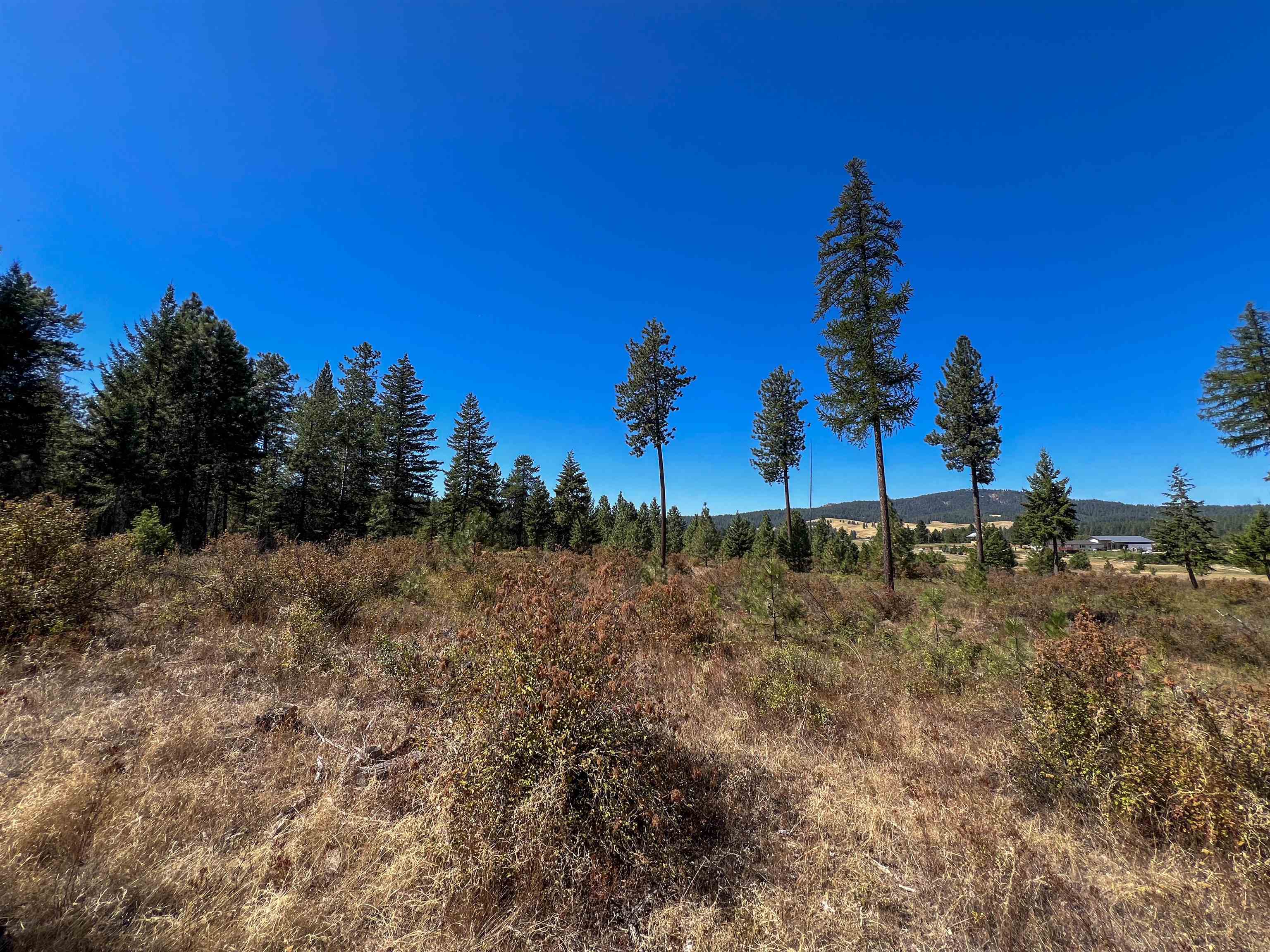 52XX Lot 1 Swenson Rd - Photo 17
