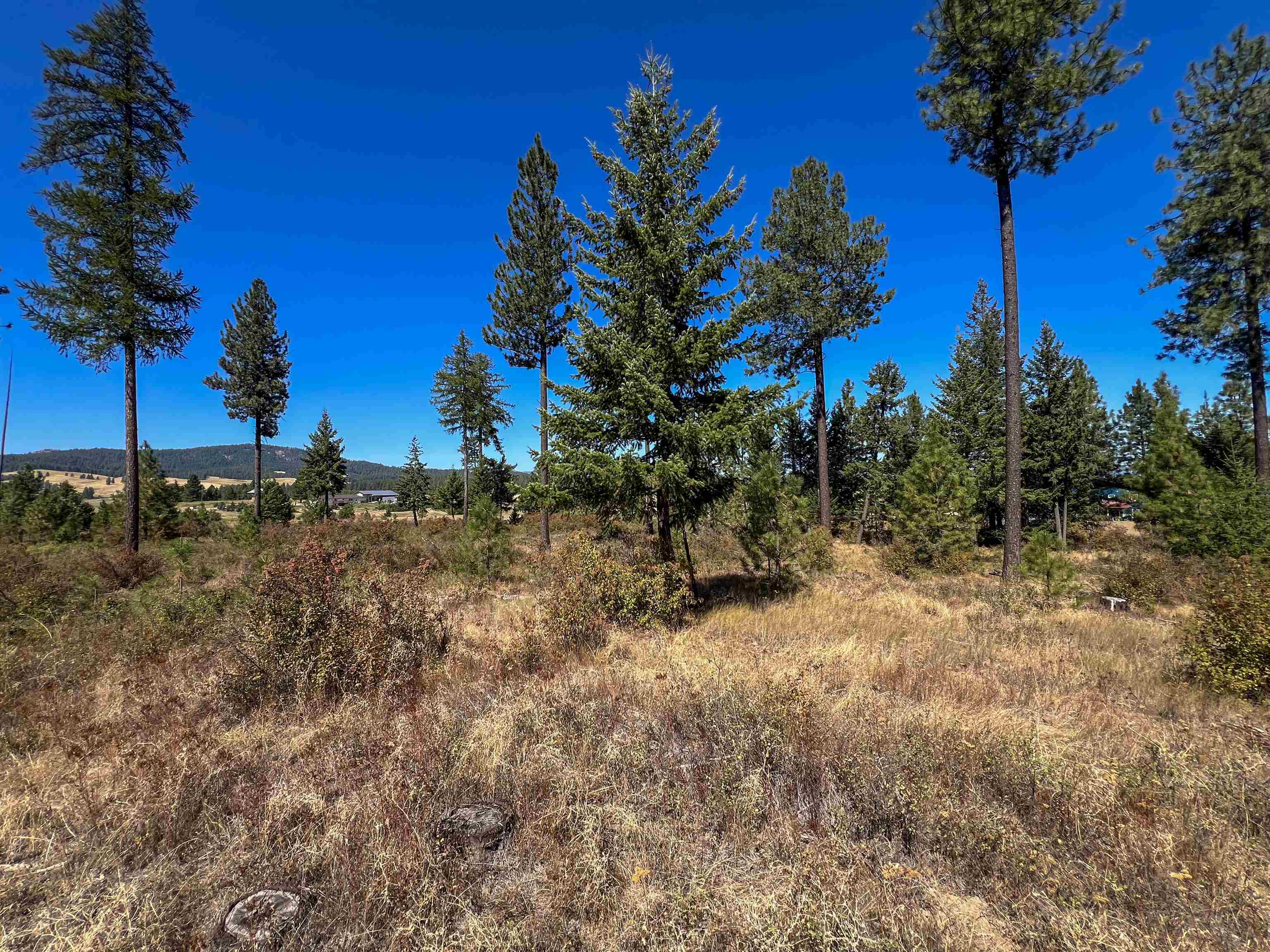 52XX Lot 1 Swenson Rd - Photo 18