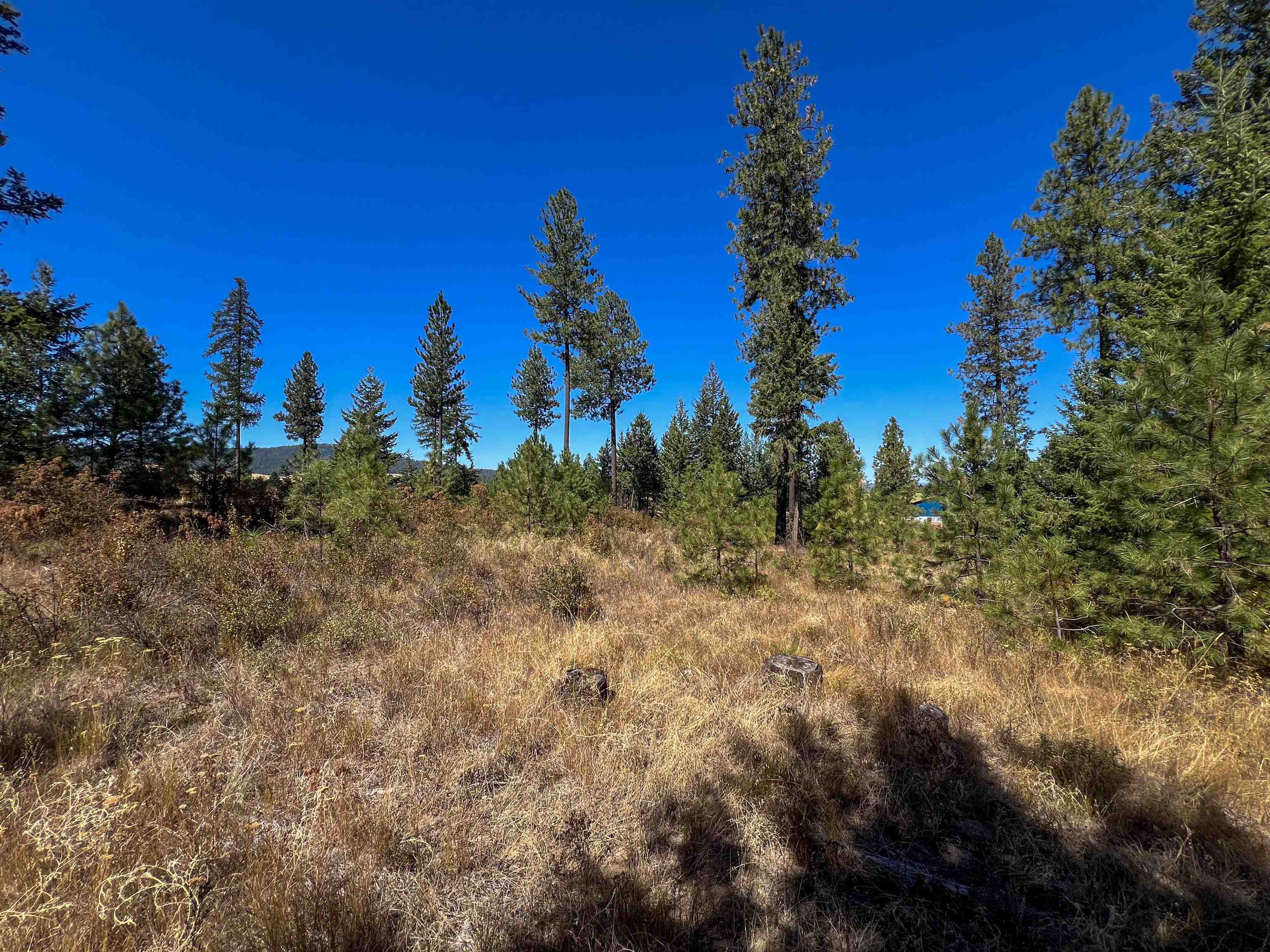 52XX Lot 1 Swenson Rd - Photo 19