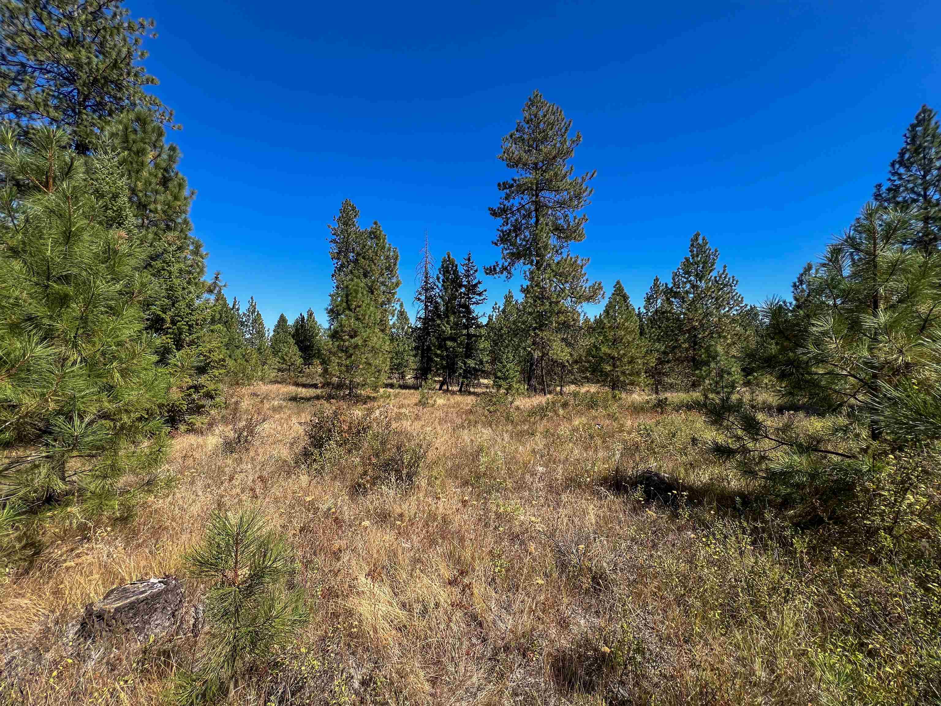 52XX Lot 1 Swenson Rd - Photo 20